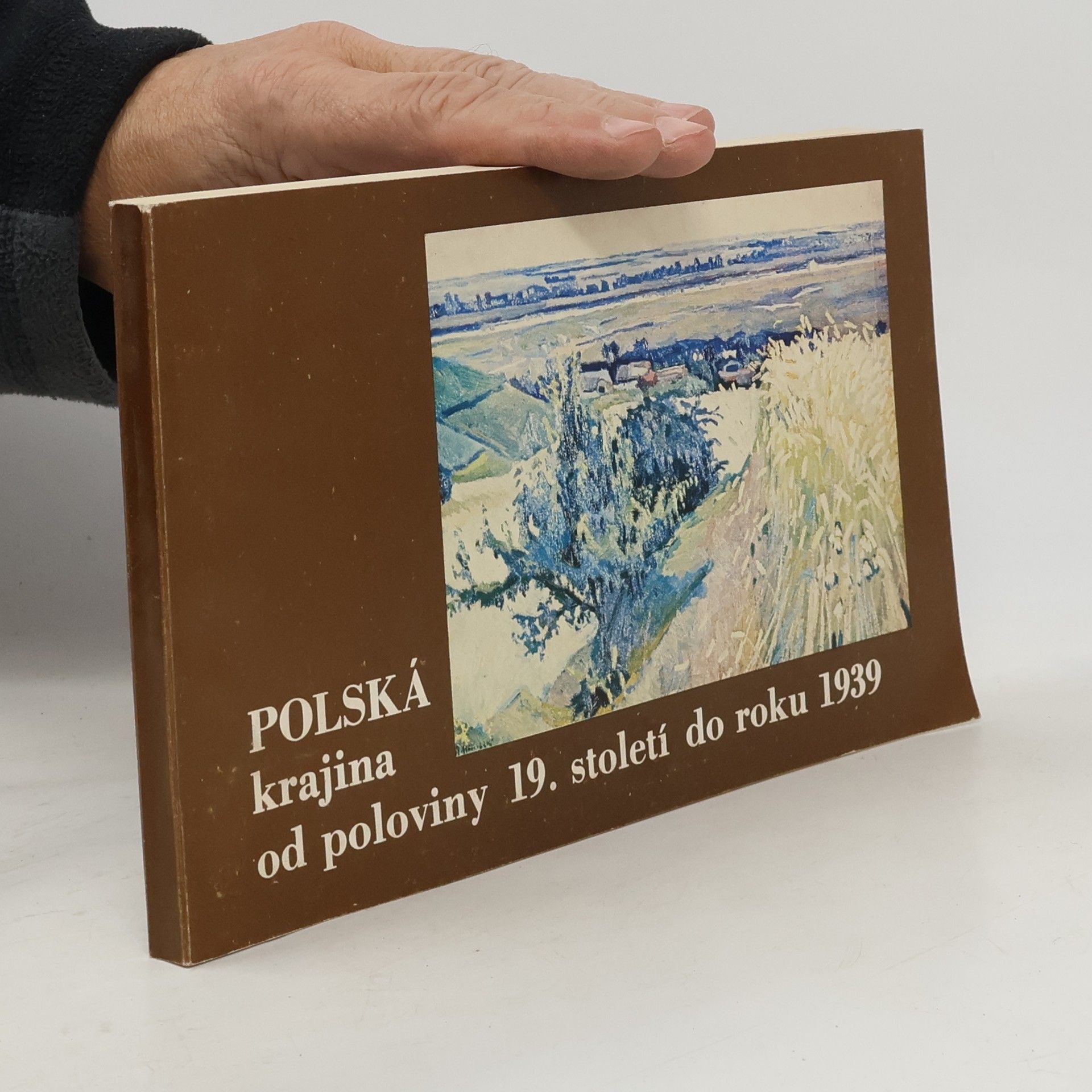Kolektiv autorů Polská krajina od poloviny 19. století do roku 1939