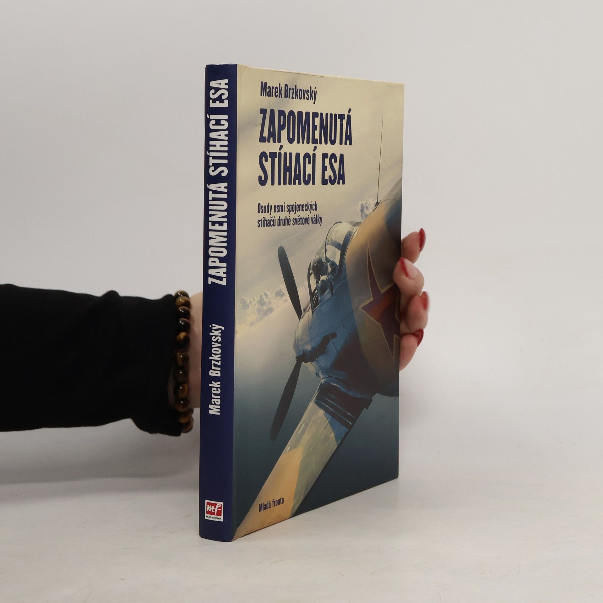 Zapomenutá stíhací esa