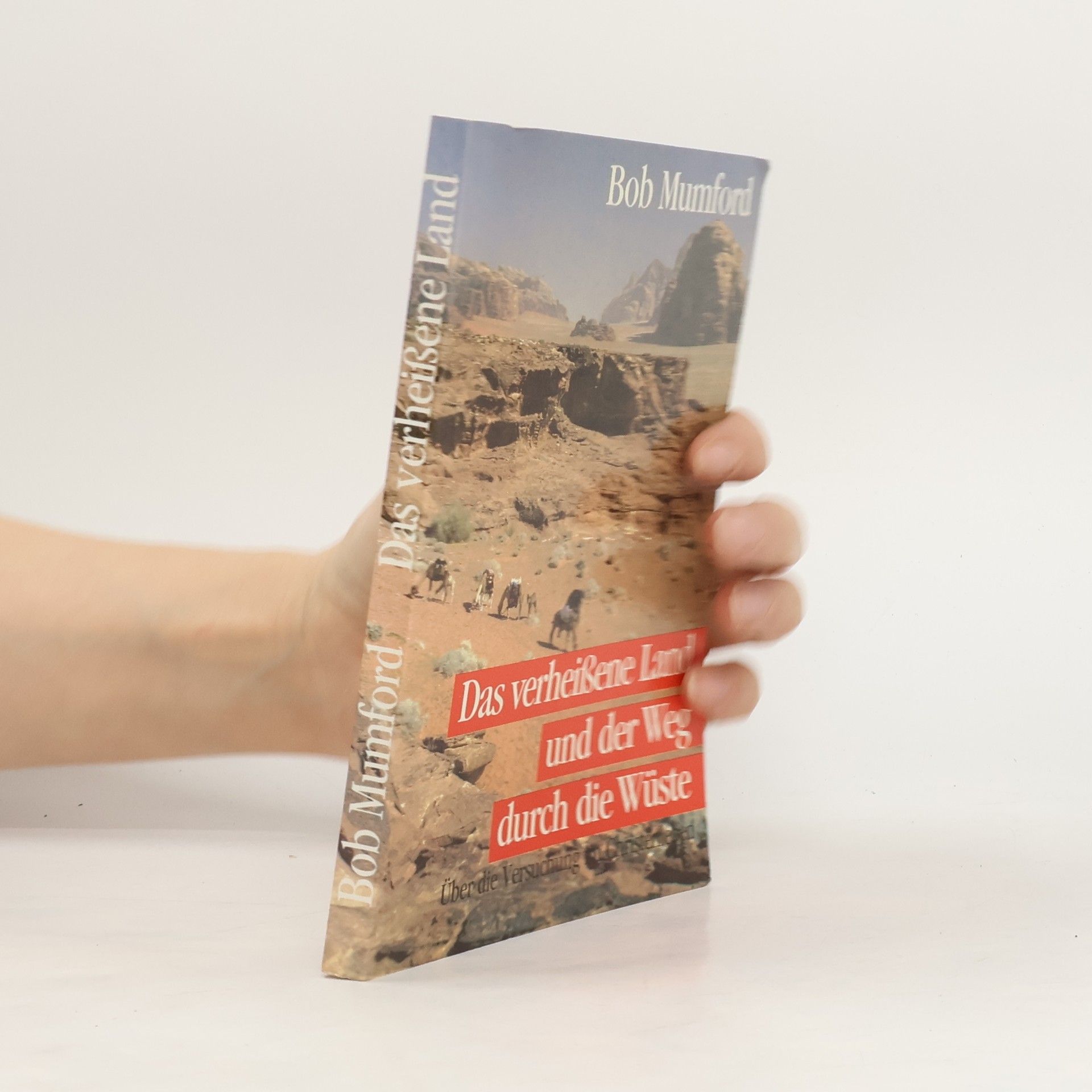 Bob Mumford Das verheissene Land und der Weg durch die Wüste