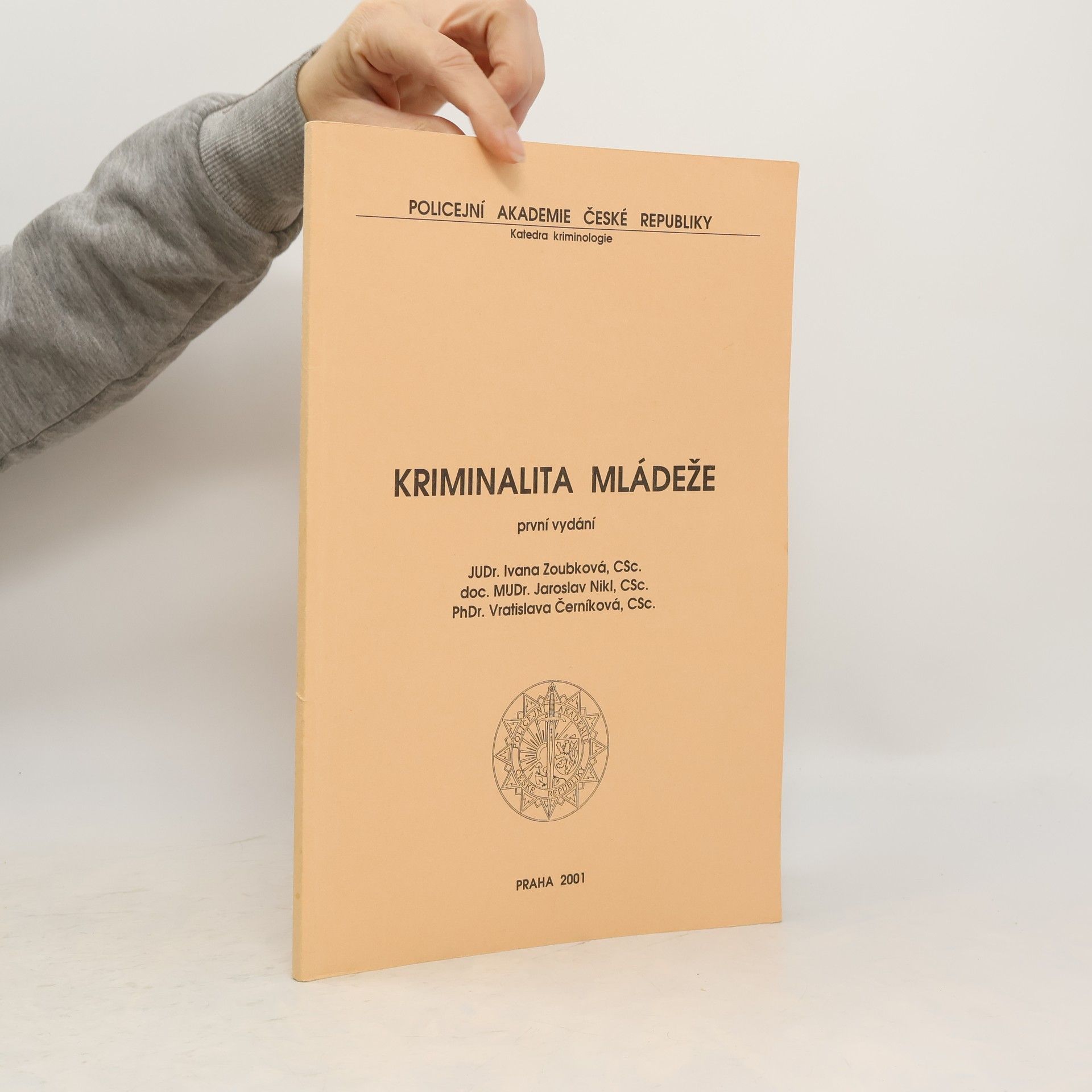 Kriminalita mládeže