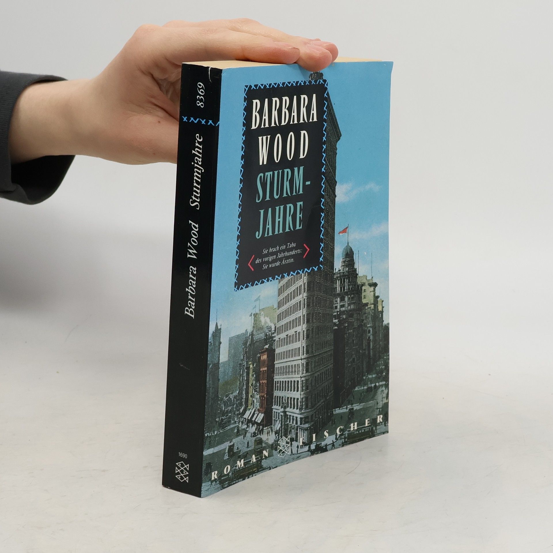 Barbara Wood Sturmjahre