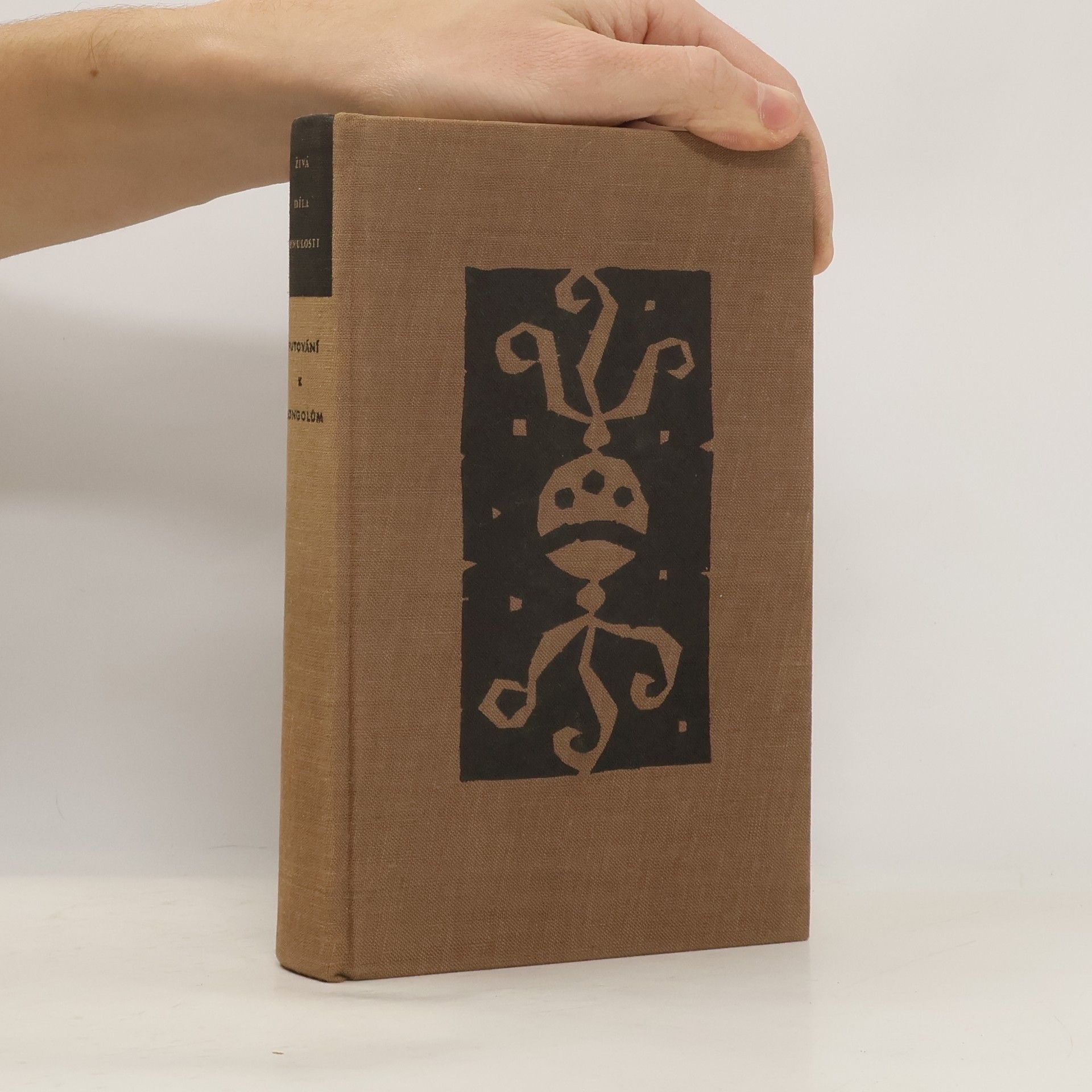 Autores varios Putování k Mongolům