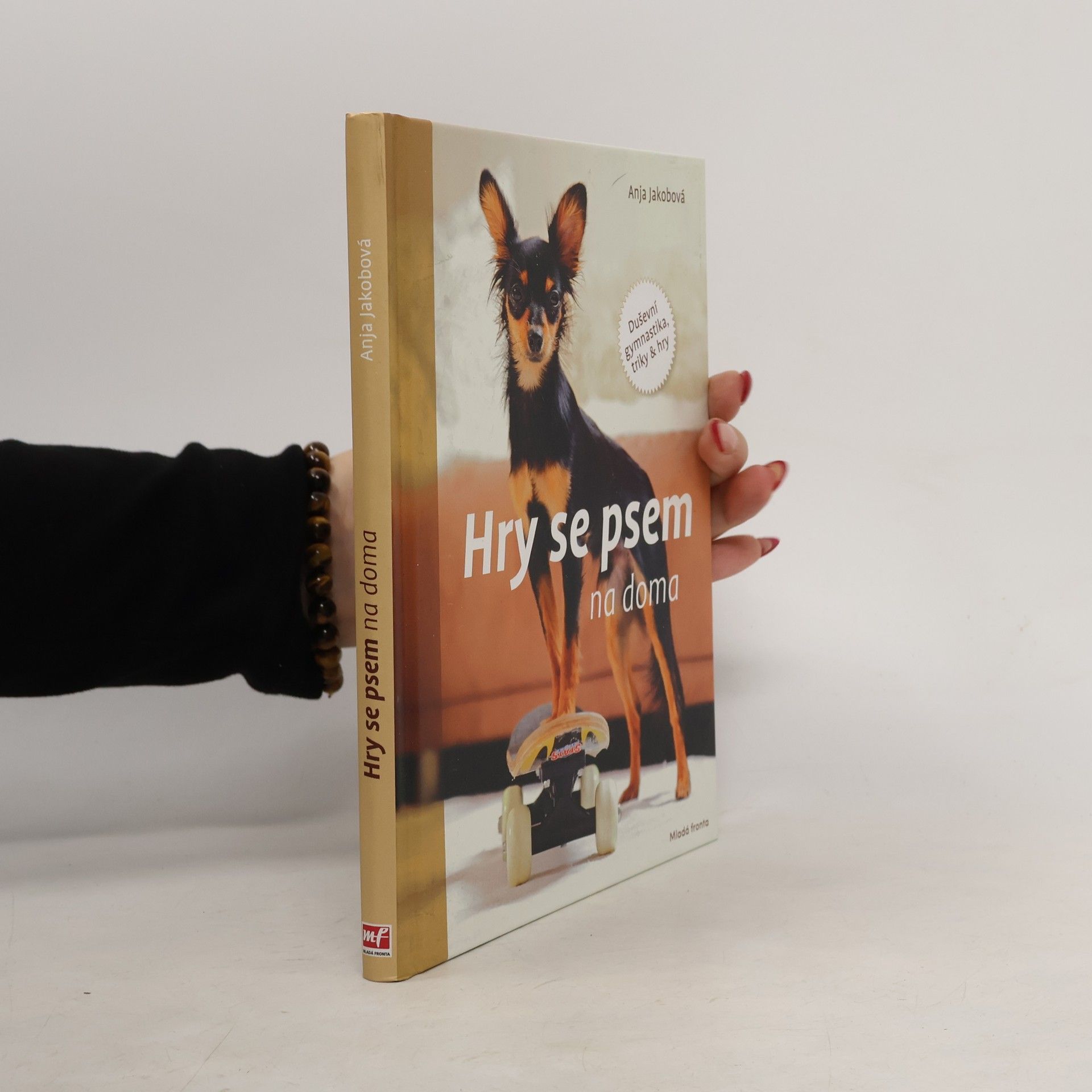 Hry se psem na doma: Duševní gymnastika, triky & hry