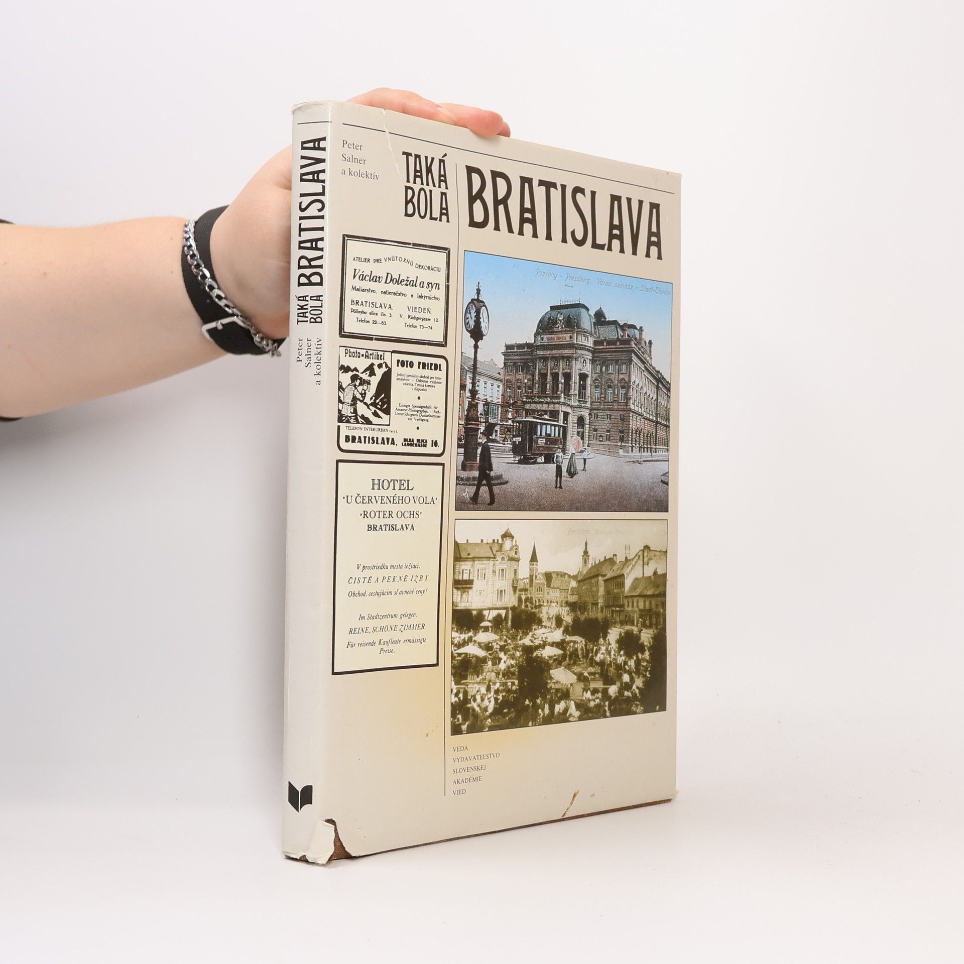 Peter Salner Taká bola Bratislava