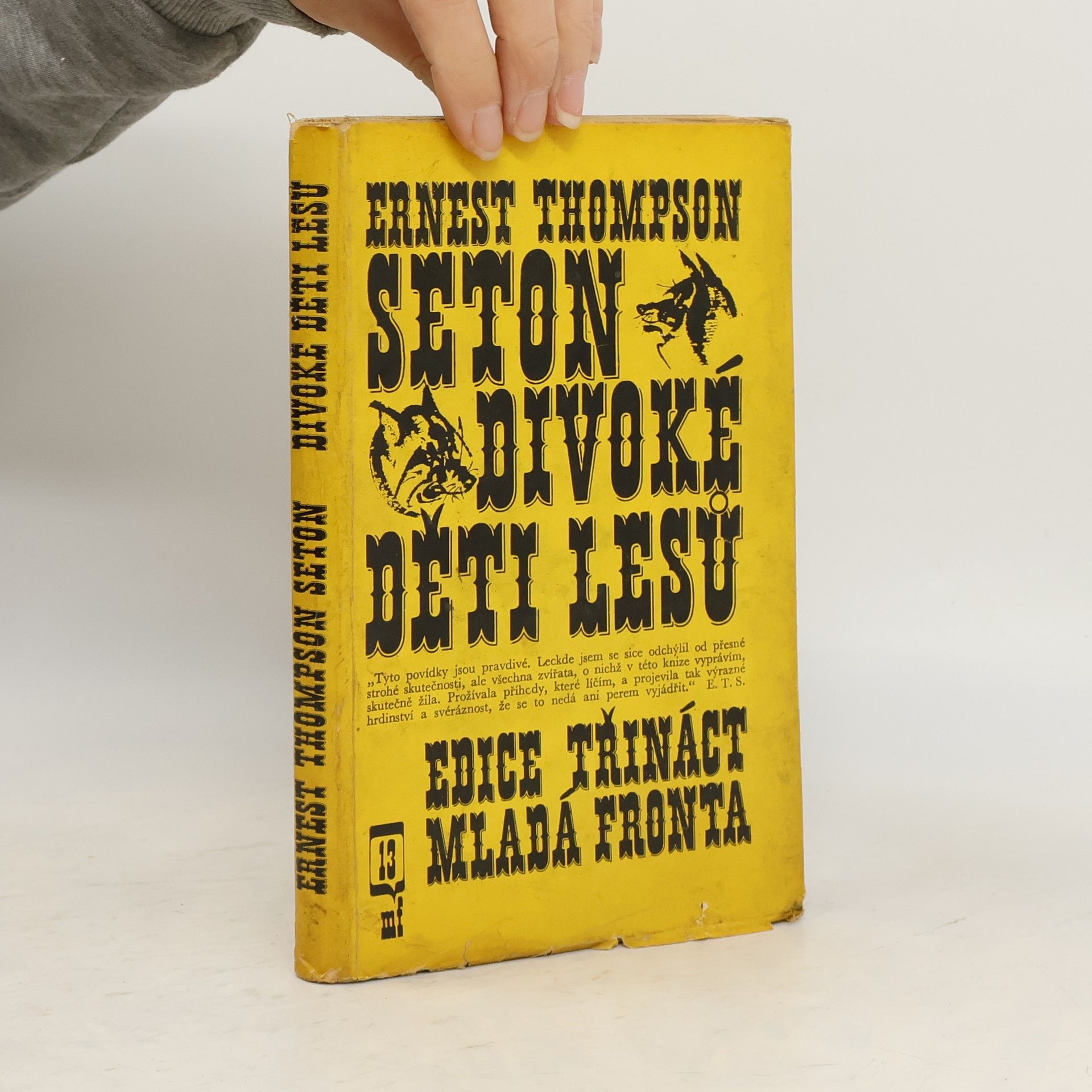 Ernest Thompson Seton Divoké děti lesů