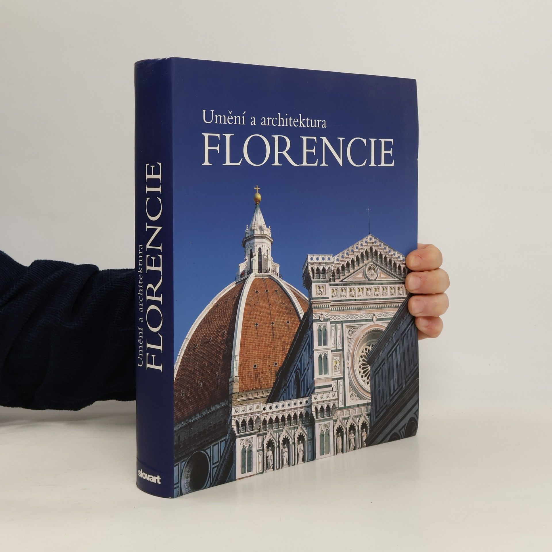 Silvestra Bietoletti Florencie : umění a architektura