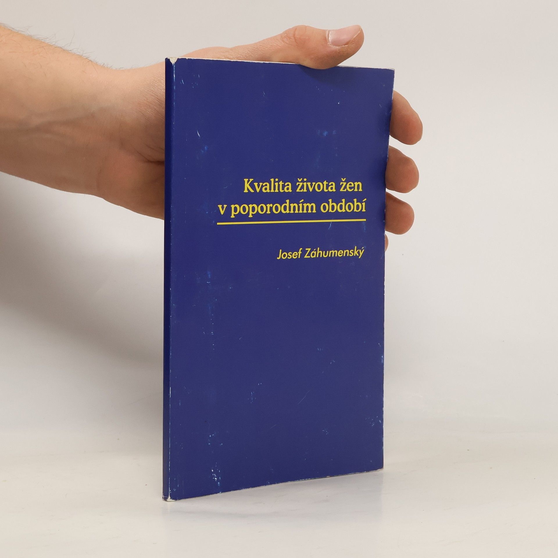 Kvalita života žen v poporodním období