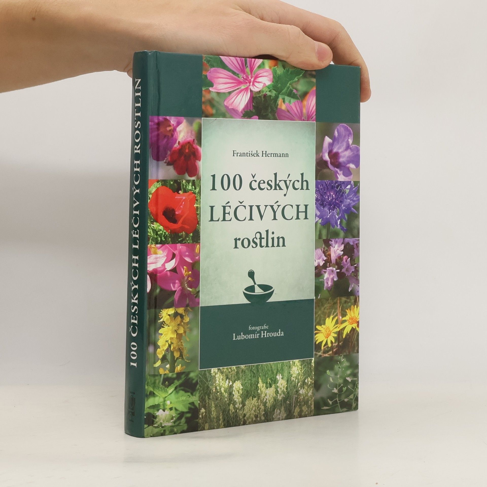 100 českých léčivých rostlin