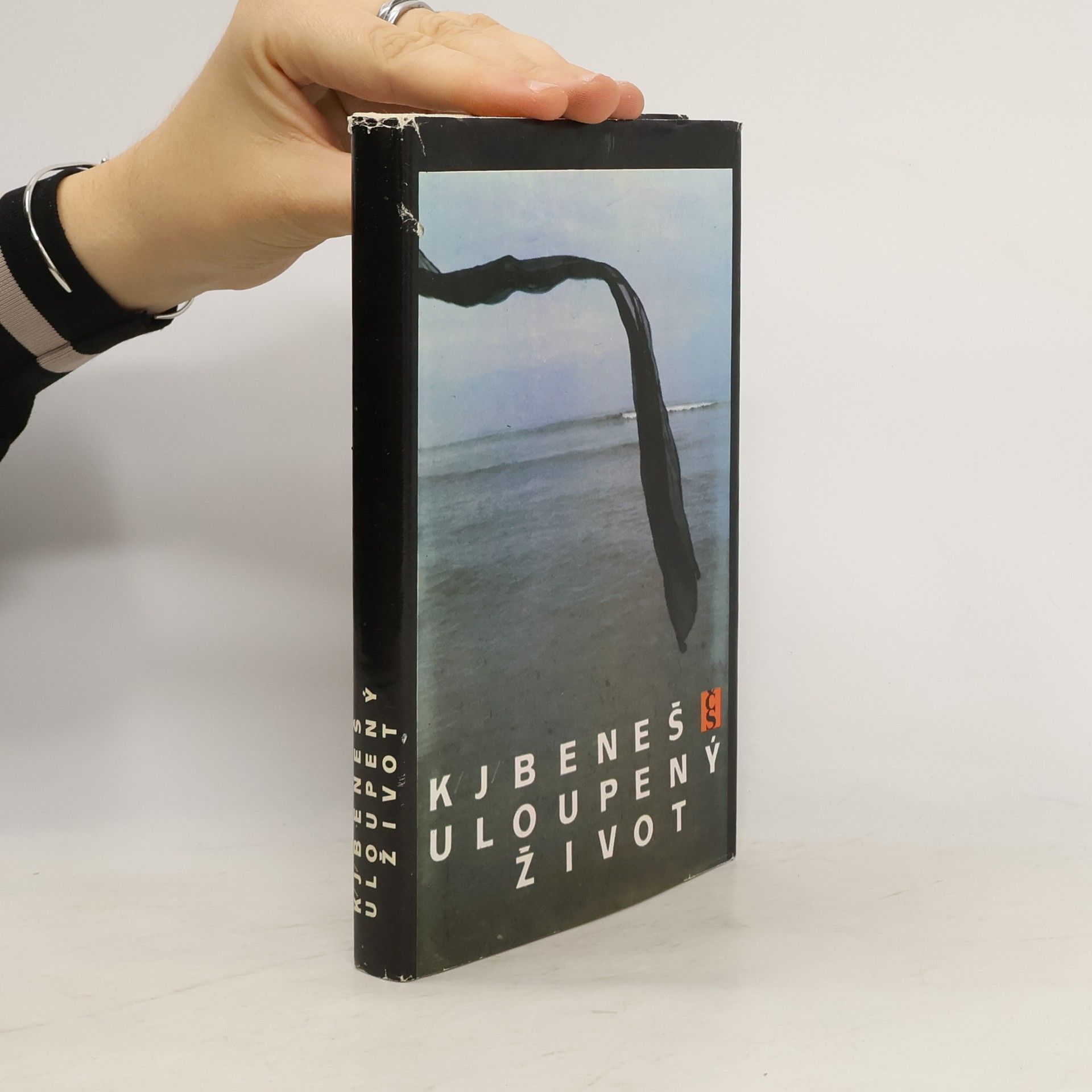 K. J. Beneš Uloupený život