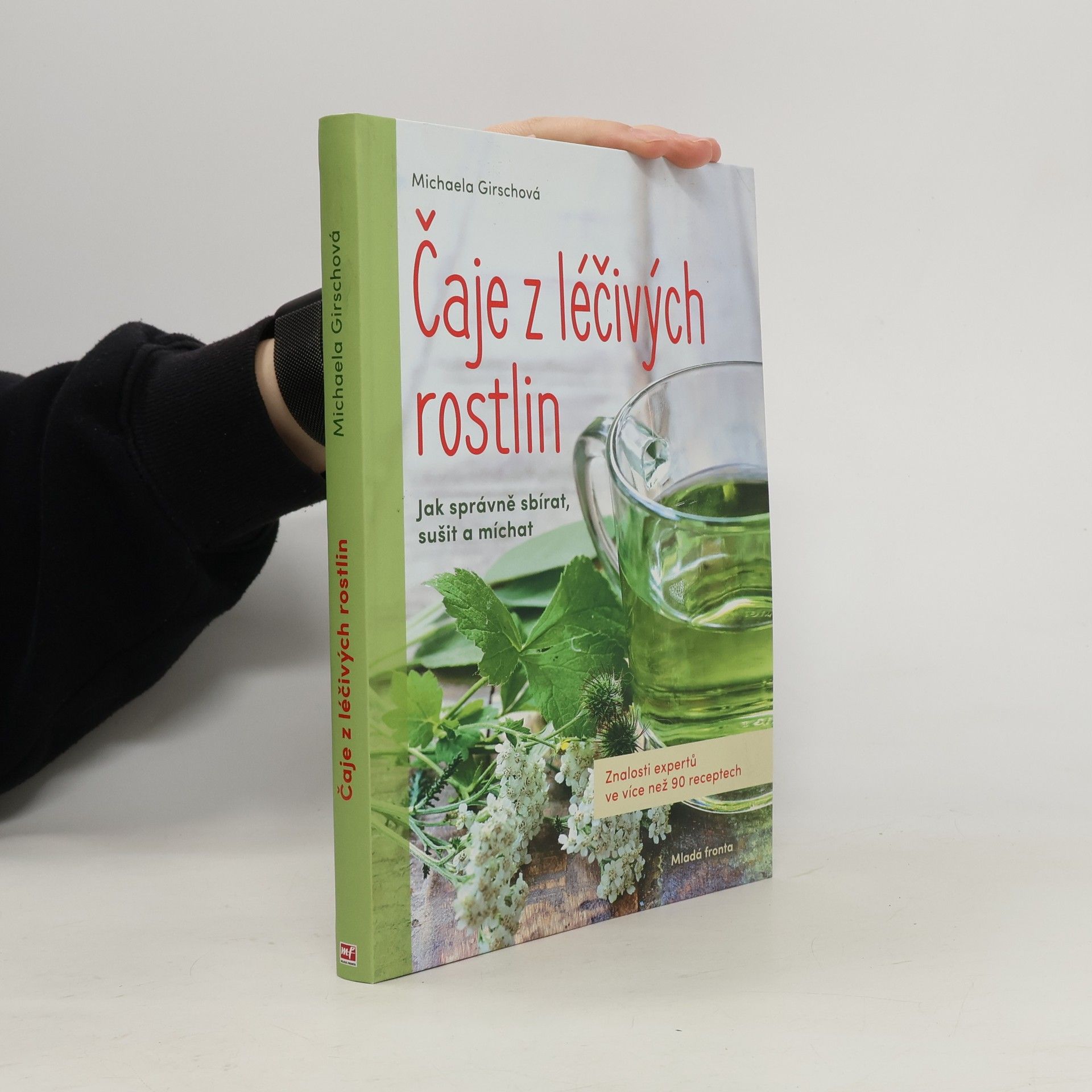 Michaela Girsch Čaje z léčivých rostlin: Znalosti expertů ve více než 90 receptech
