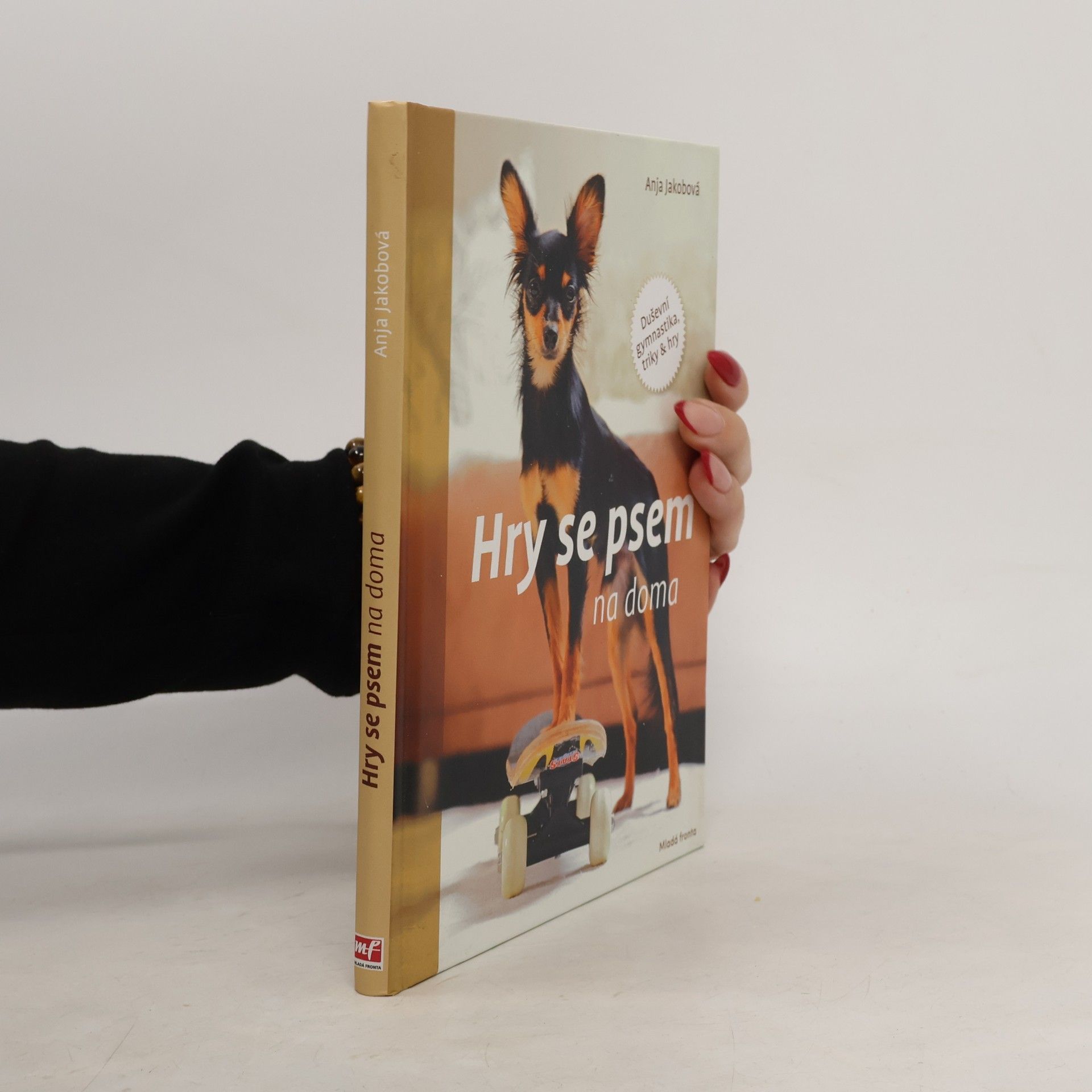 Hry se psem na doma: Duševní gymnastika, triky & hry