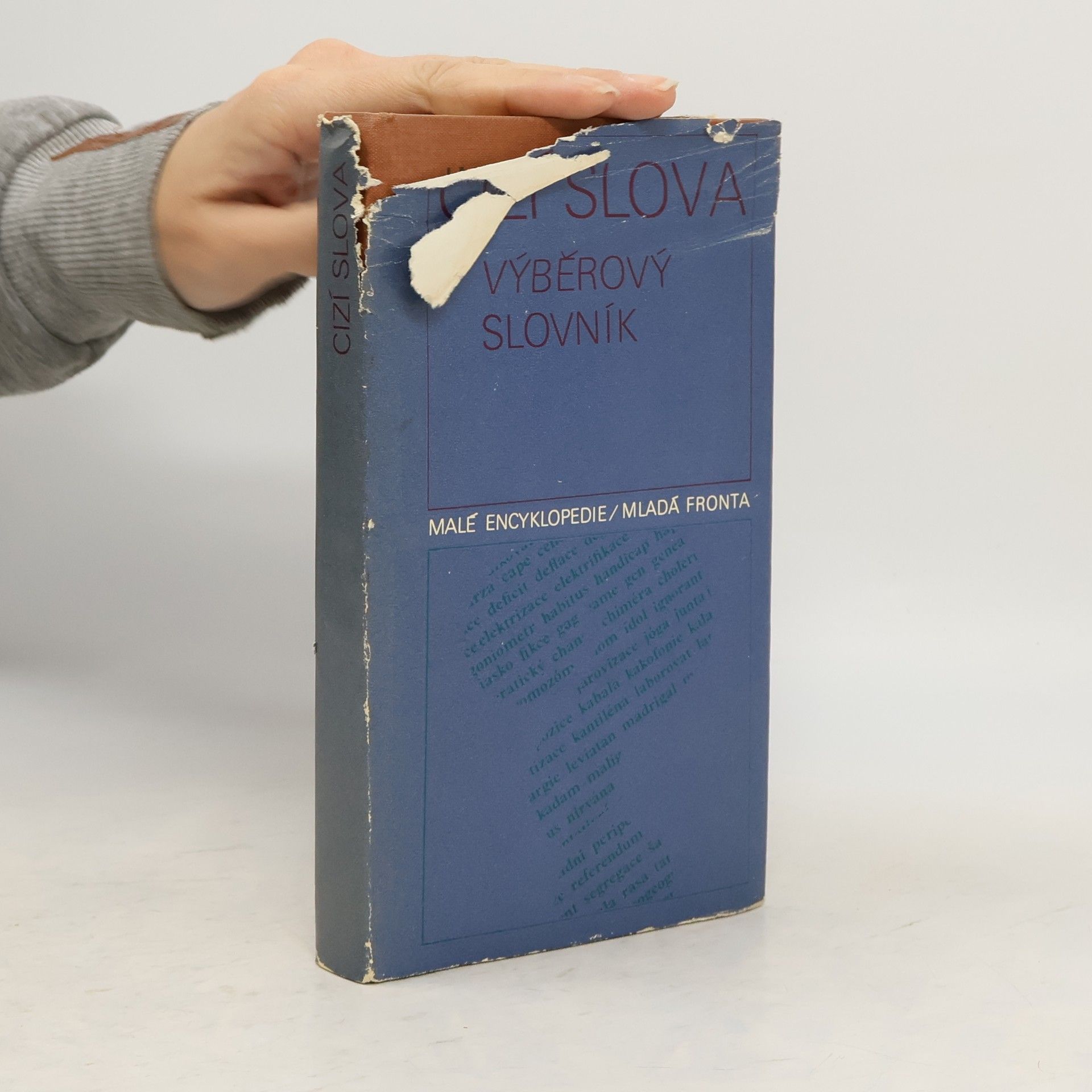 Cizí slova. Výběrový slovník