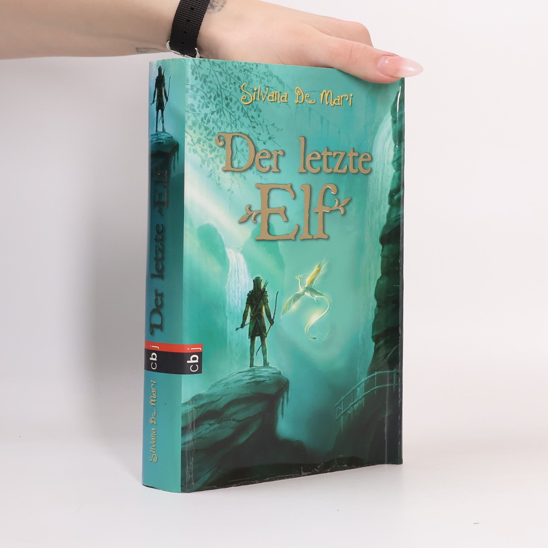 Silvana De Mari Der letzte Elf