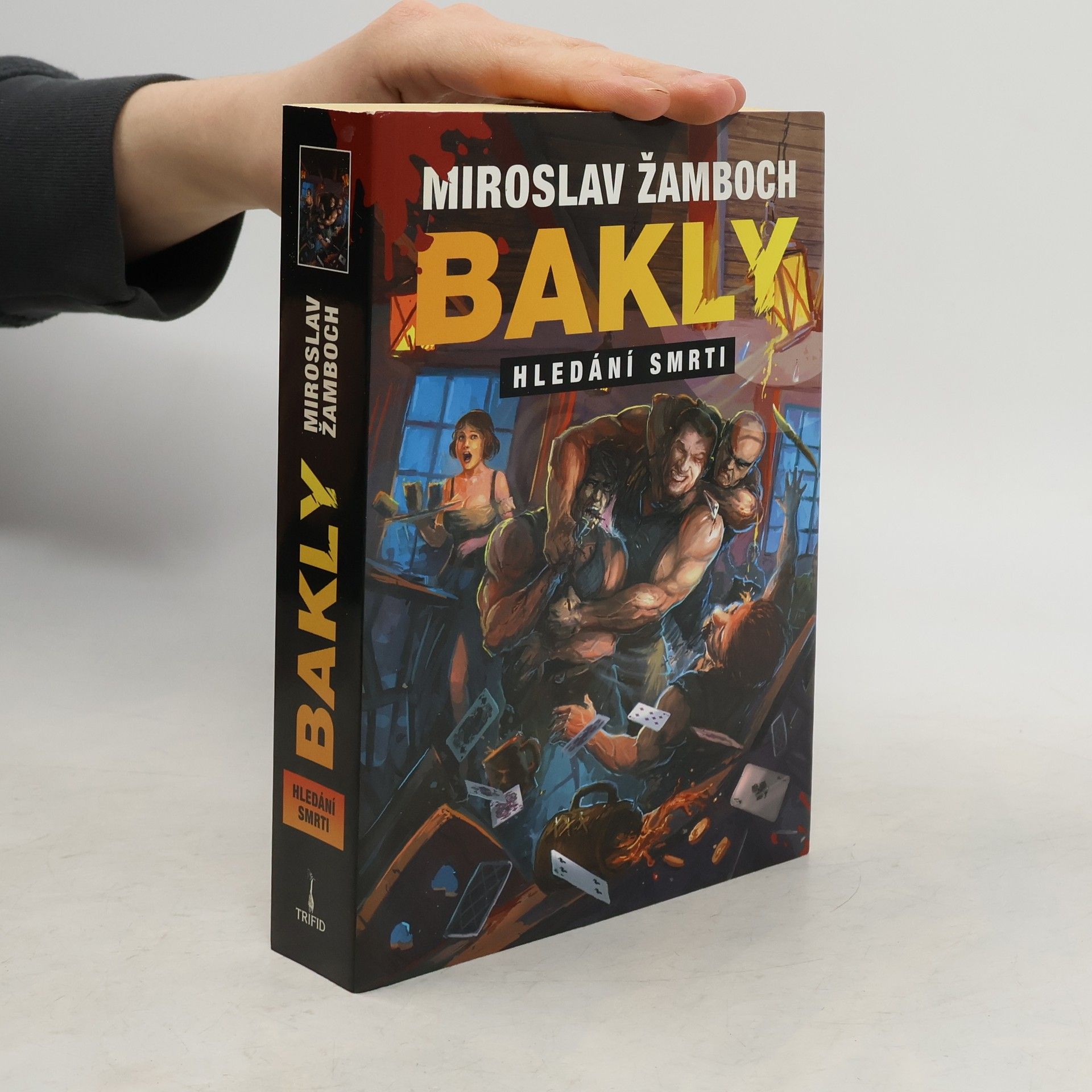 Miroslav Žamboch Bakly: Hledání smrti