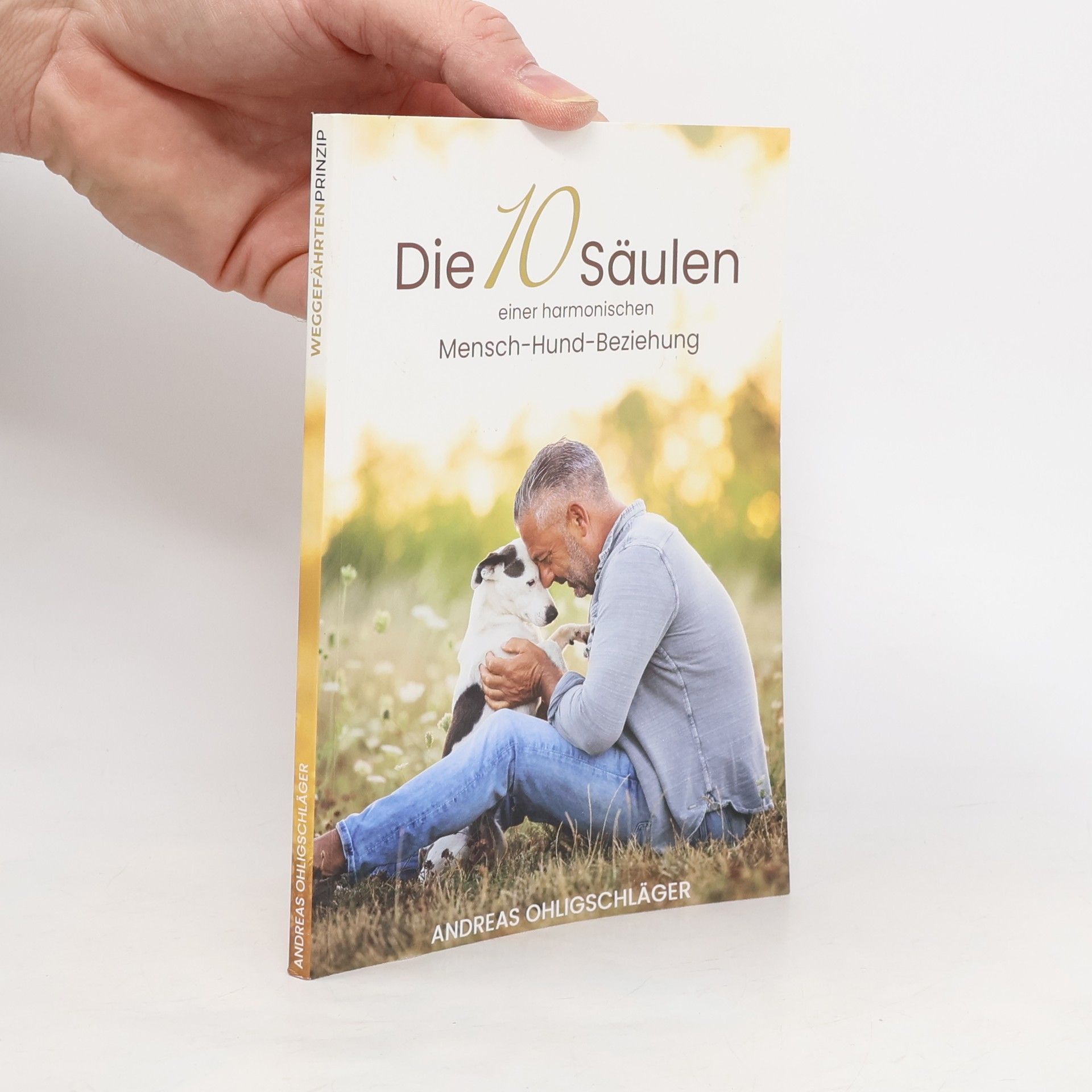 Die 10 Säulen einer harmonischen Mensch-Hund-Beziehung