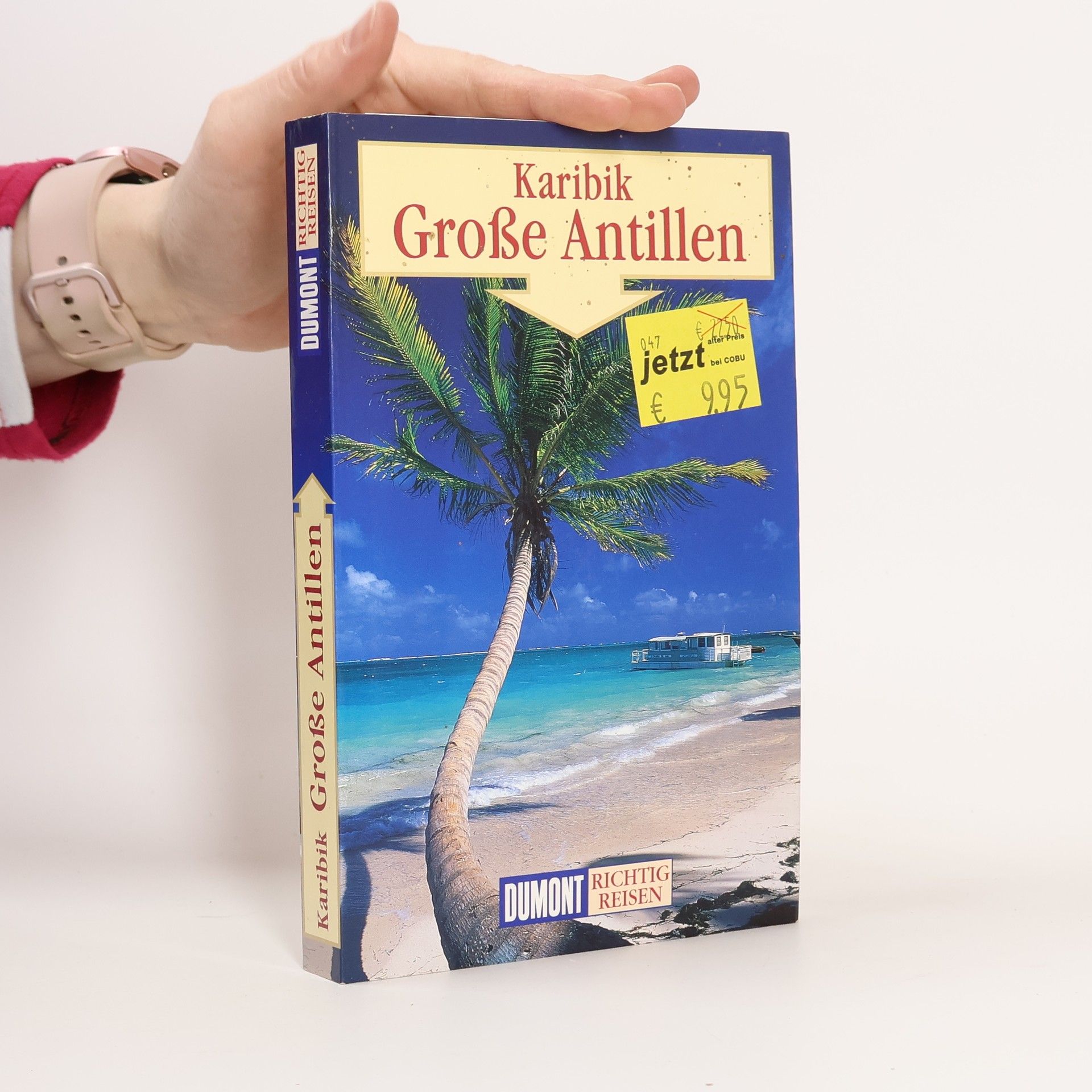 Karibik, Große Antillen