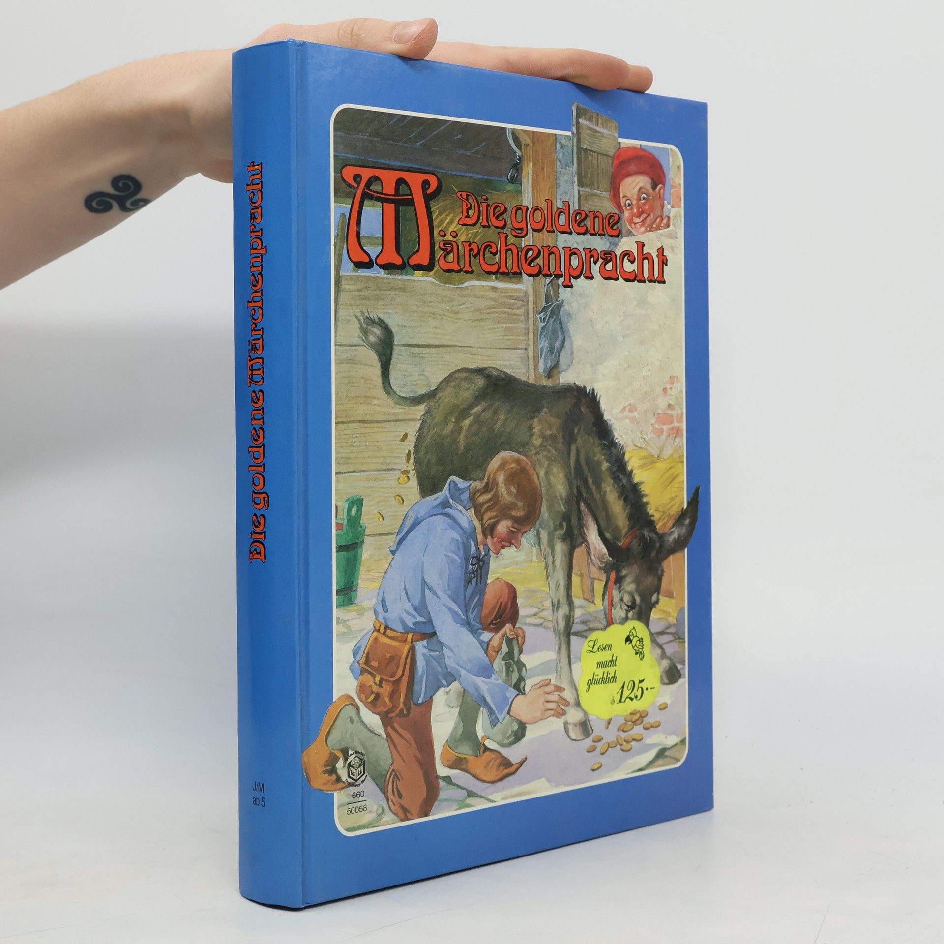 AA.VV. Die goldene Märchenpracht