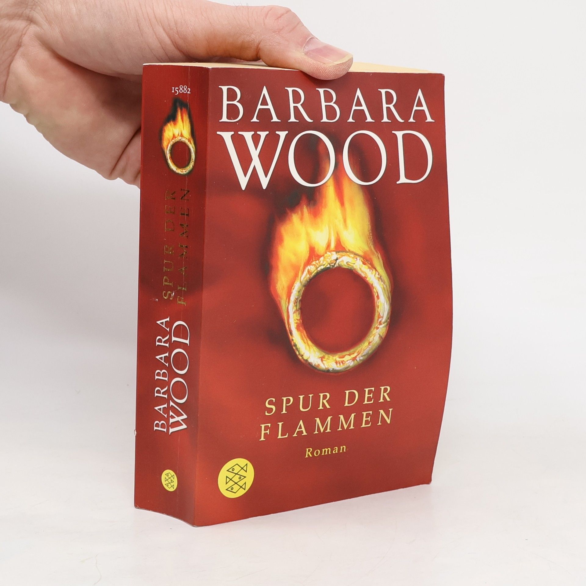 Barbara Wood Spur der Flammen