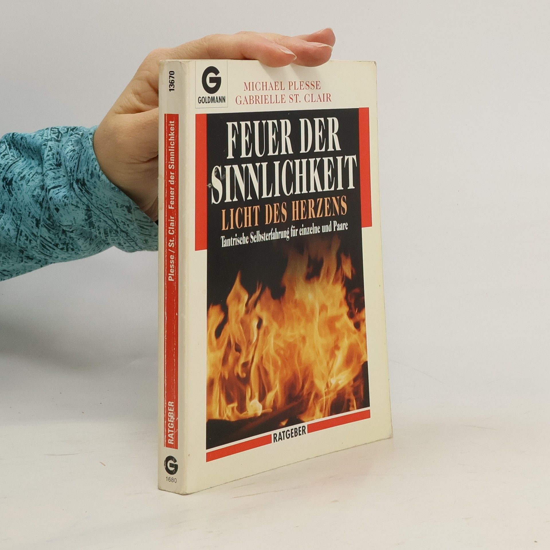 Michael Plesse Feuer der Sinnlichkeit, Licht des Herzens