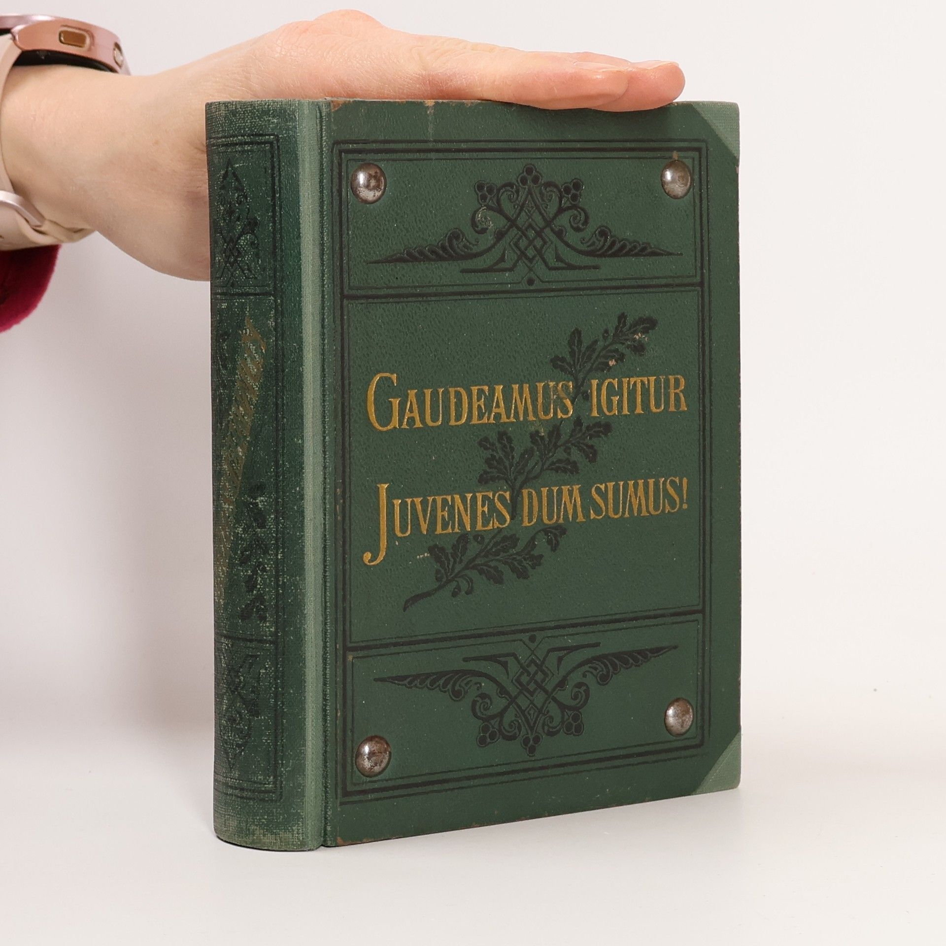 Collectif d'auteurs Gaudeamus Igitur. Juvenes dum Sumus!