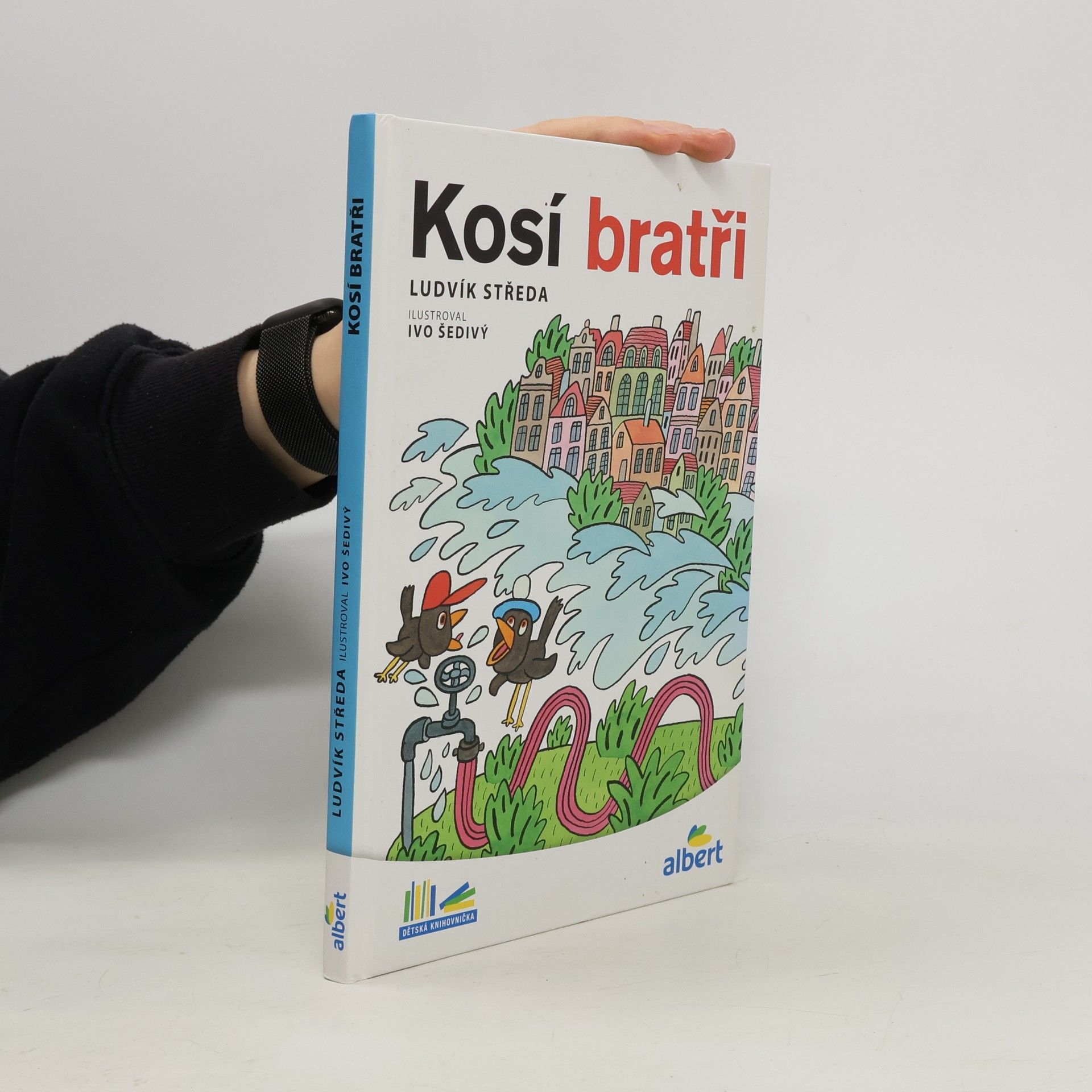 Kosí bratři