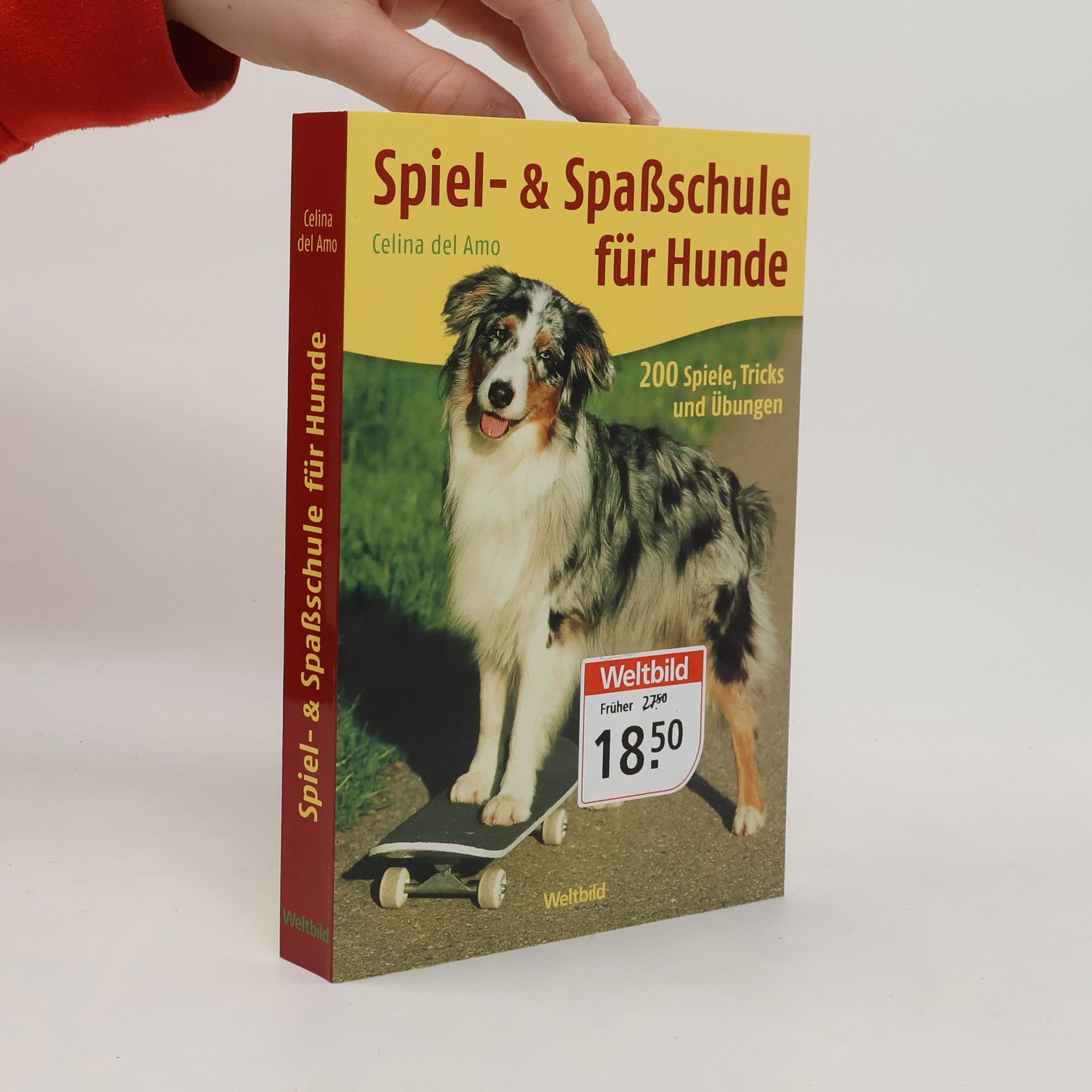 Celina Del Amo Spiel- & Spaßschule für Hunde