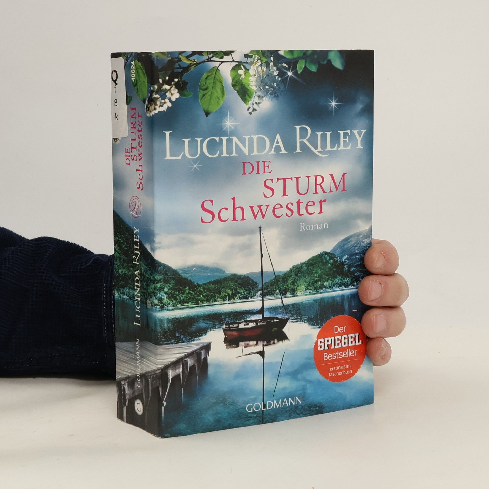 Lucinda Riley Die Sturmschwester