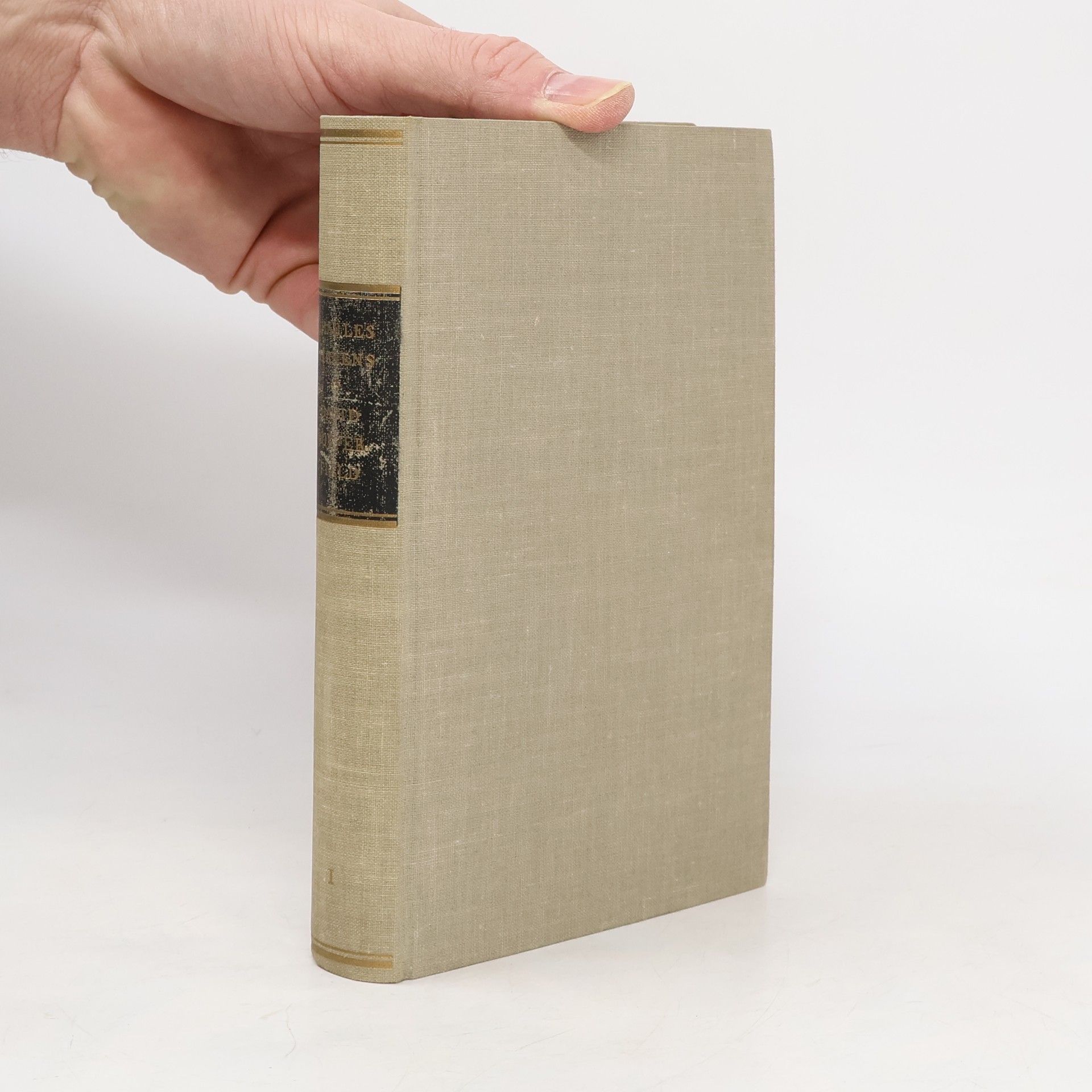 Charles Dickens Die Lebensgeschichte, Abenteuer, Beobachtungen des David Copperfield 1