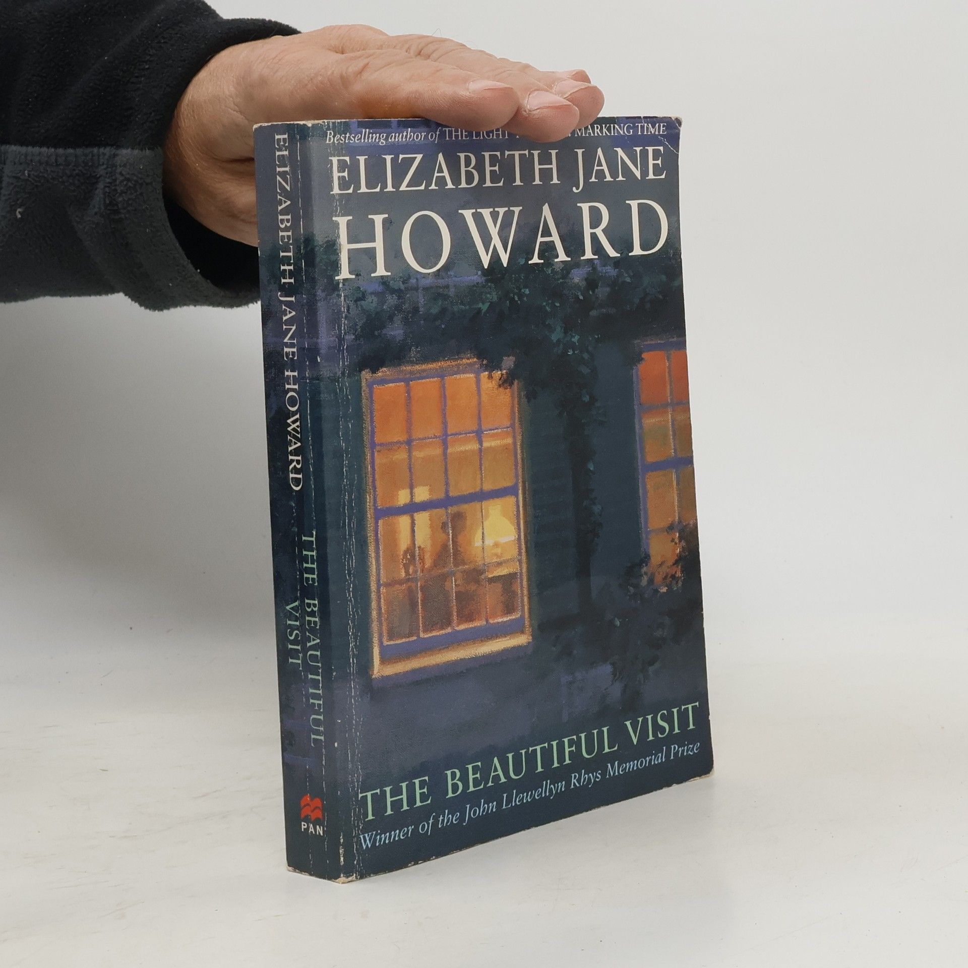 Elizabeth Jane Howard The Beautiful Visit