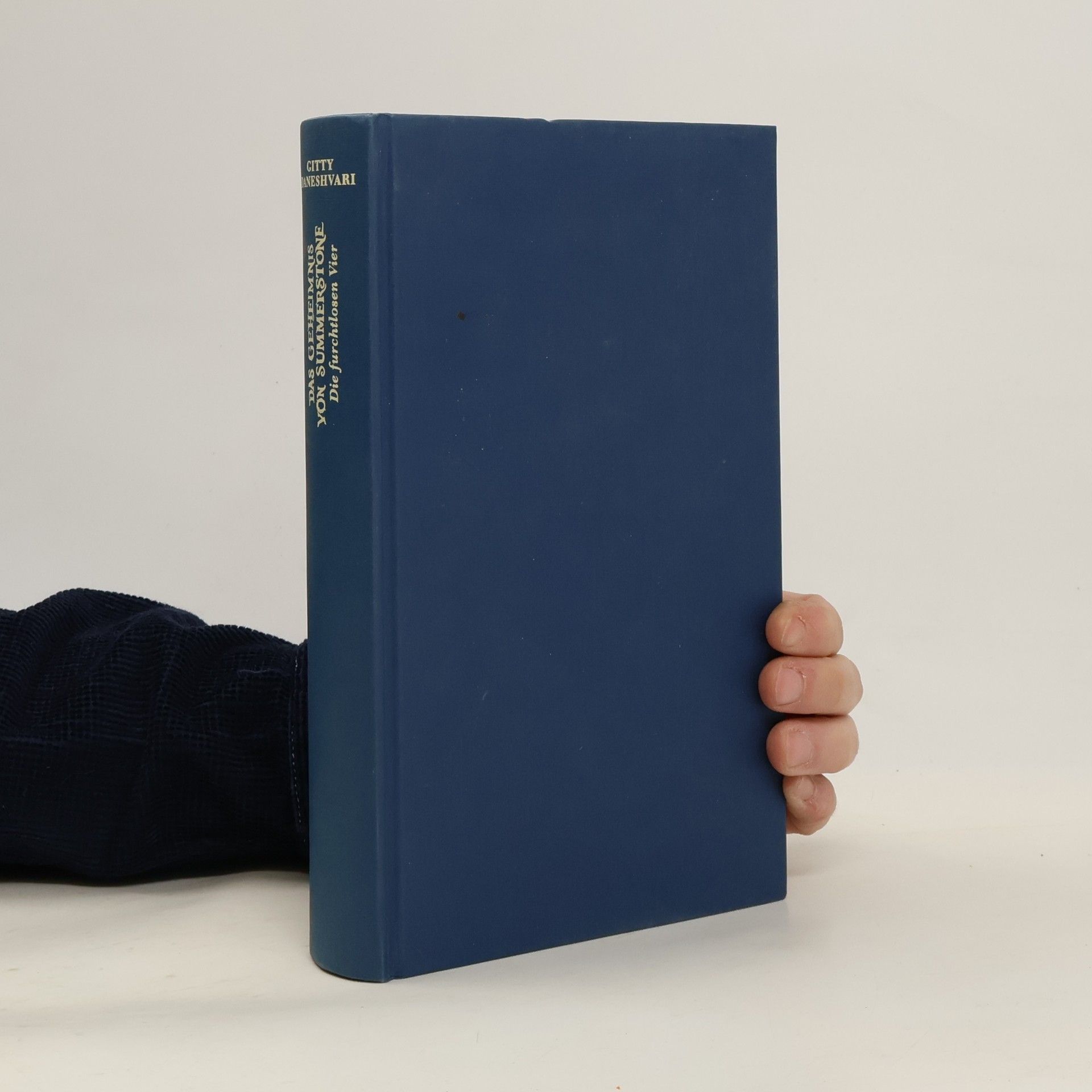 Das Geheimnis von Summerstone: Die furchtlosen Vier