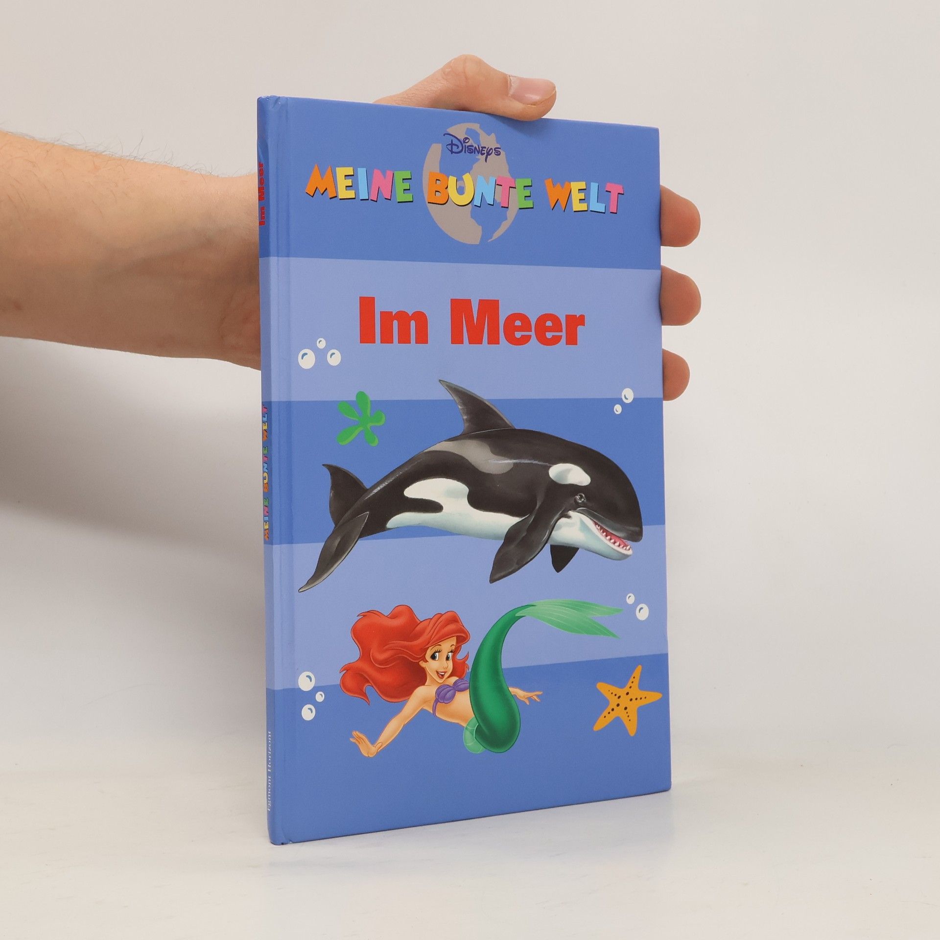 Autorenkollektiv Meine bunte Welt. Im Meer