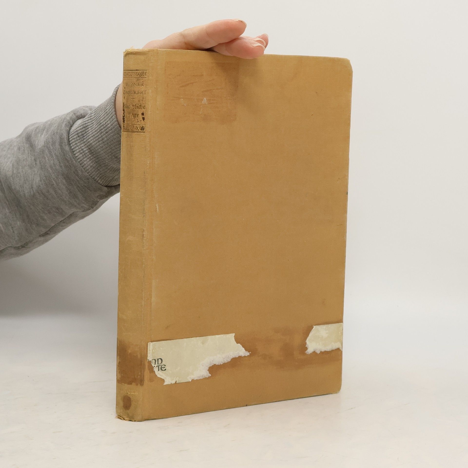 Werner Danckert Unehrliche Leute