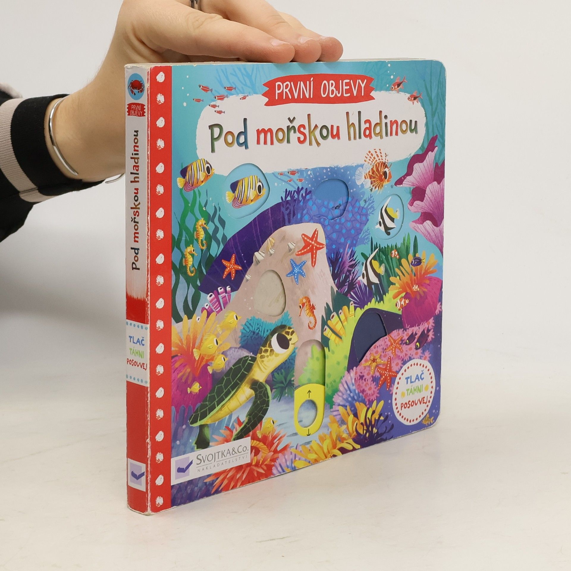 Pod mořskou hladinou