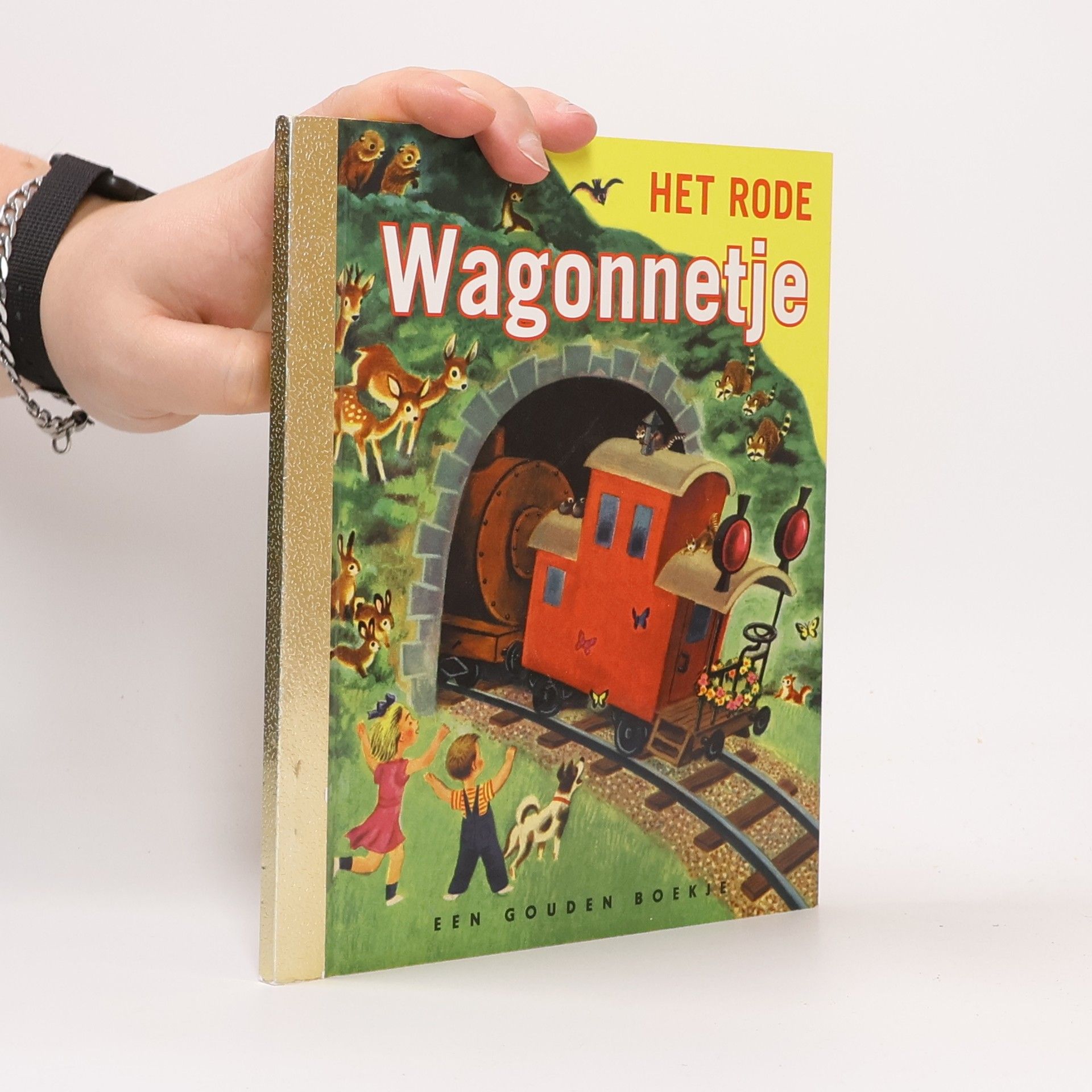 Marian Potter Het rode wagonnetje