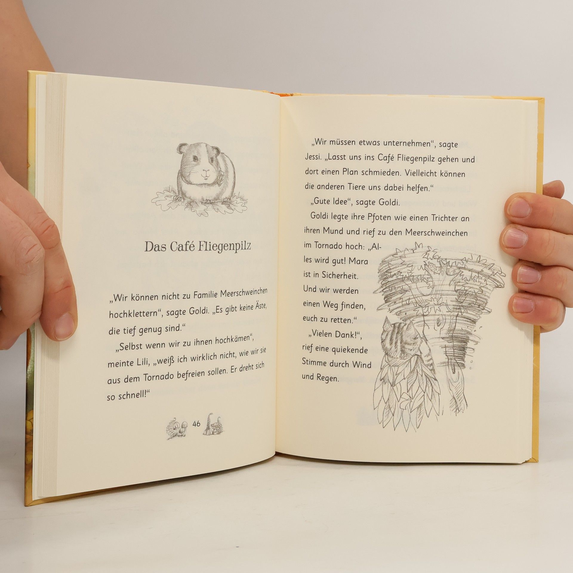 Daisy Meadows Mara Meerschweinchen hilft den Waldtieren