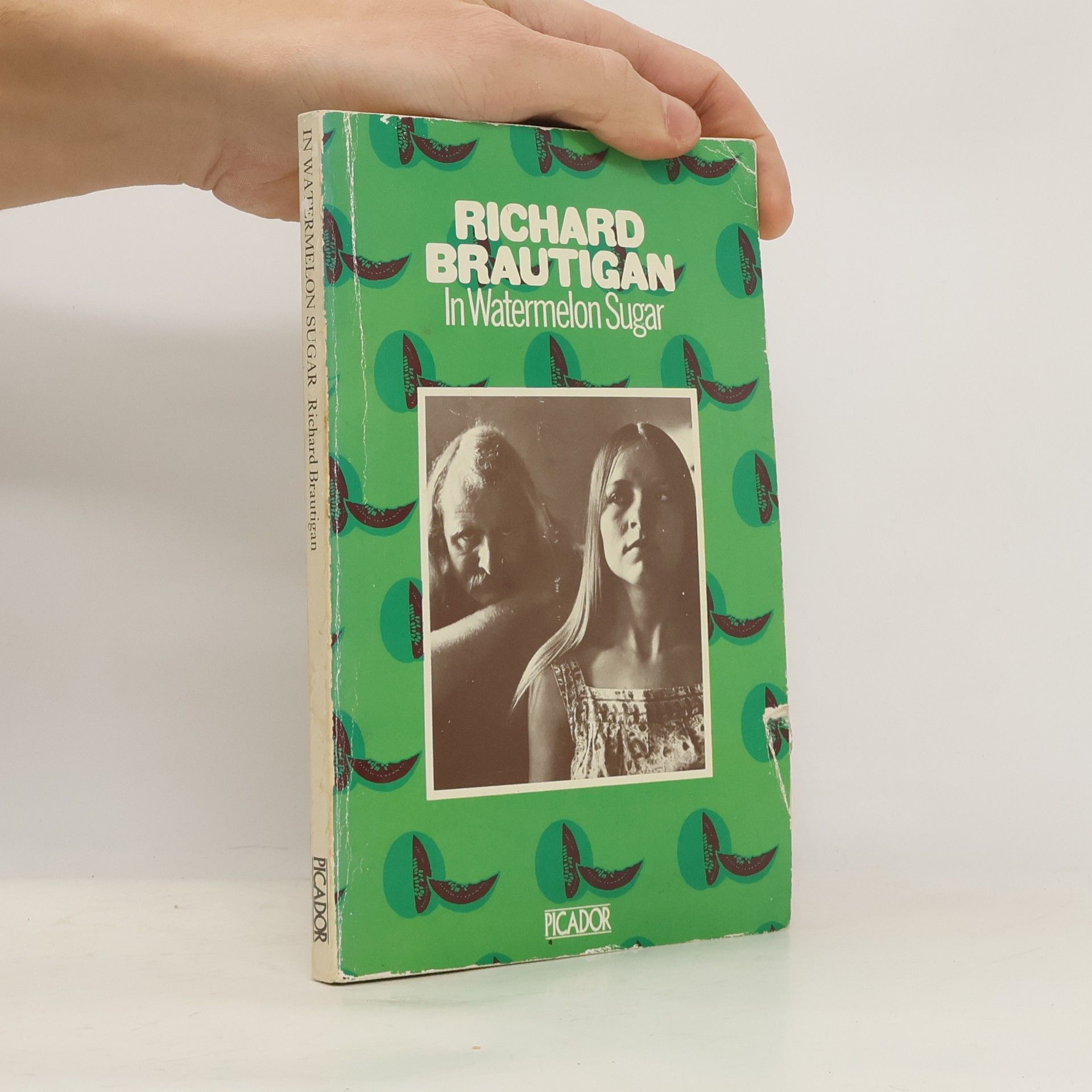 Richard Brautigan In Watermelon Sugar