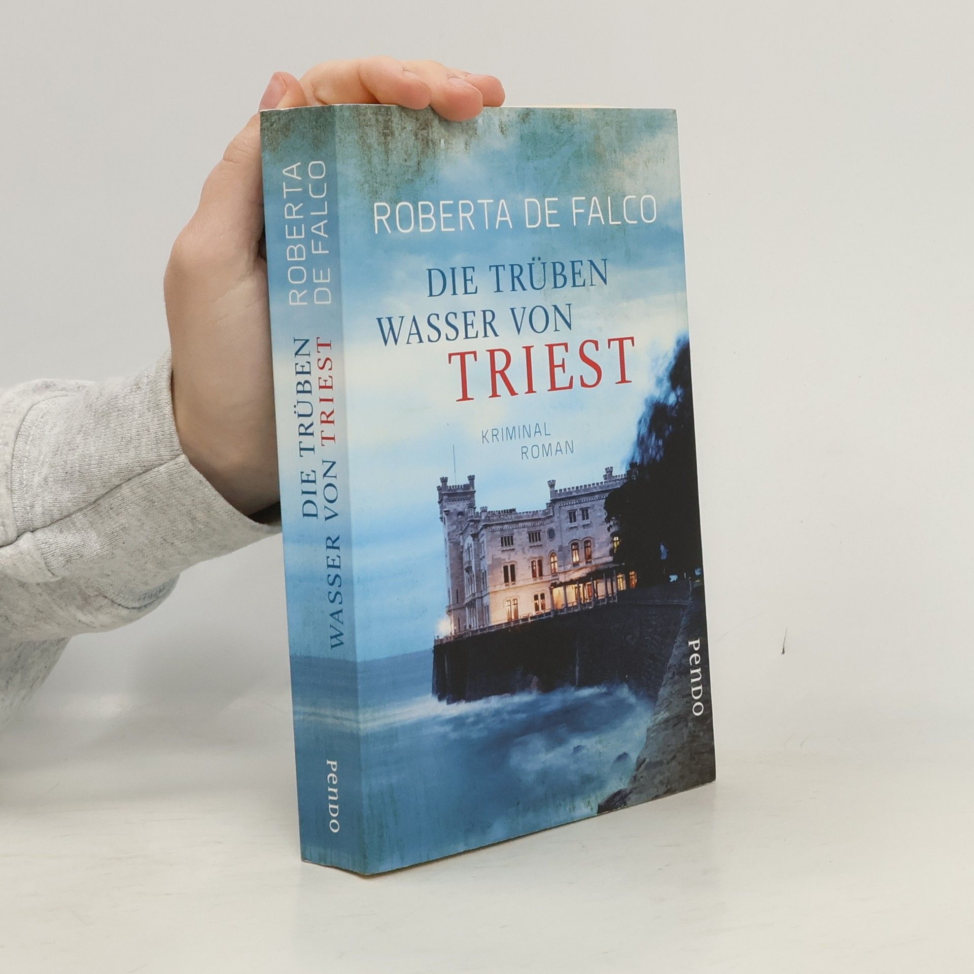 Roberta de Falco Die trüben Wasser von Triest