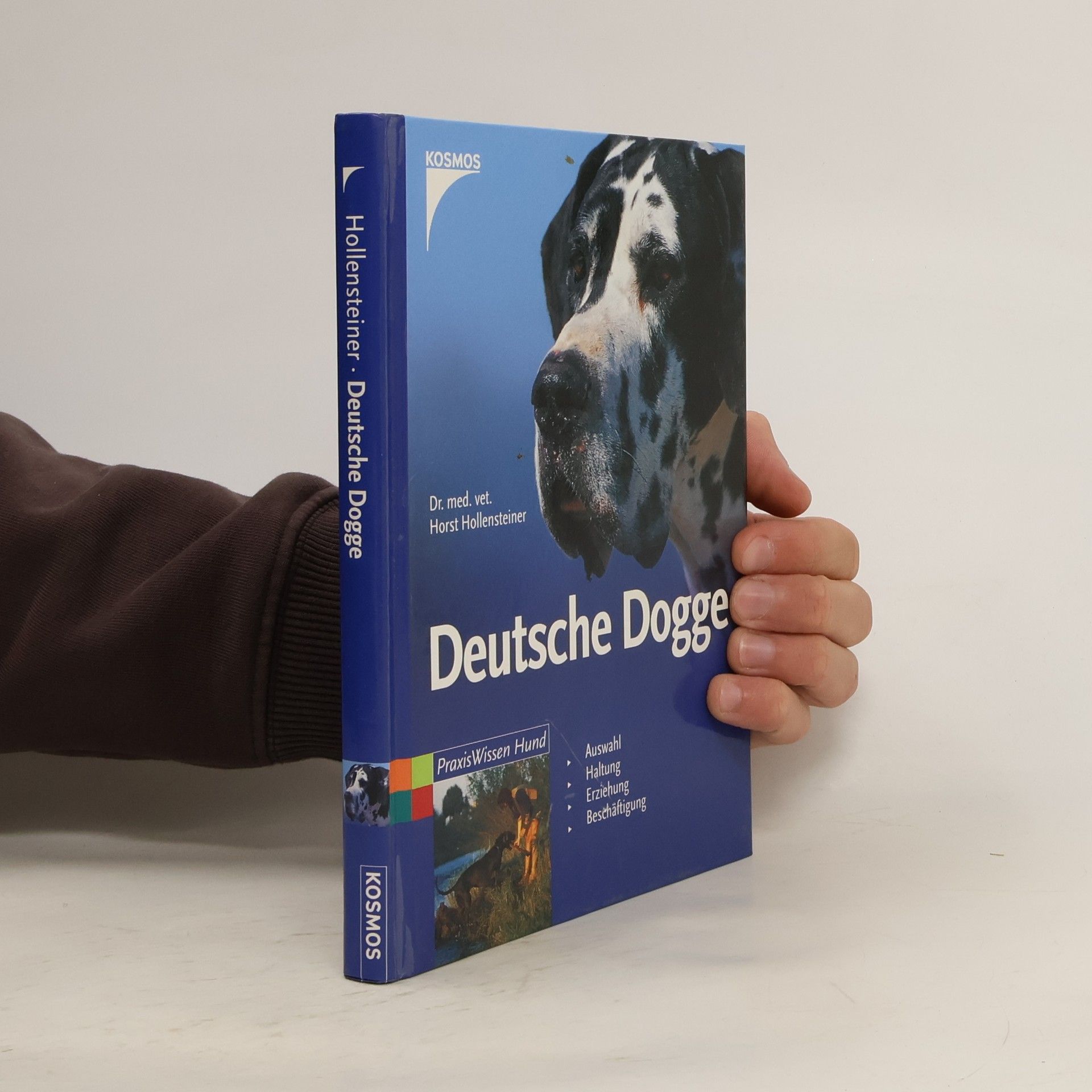 Horst Hollensteiner Deutsche Dogge