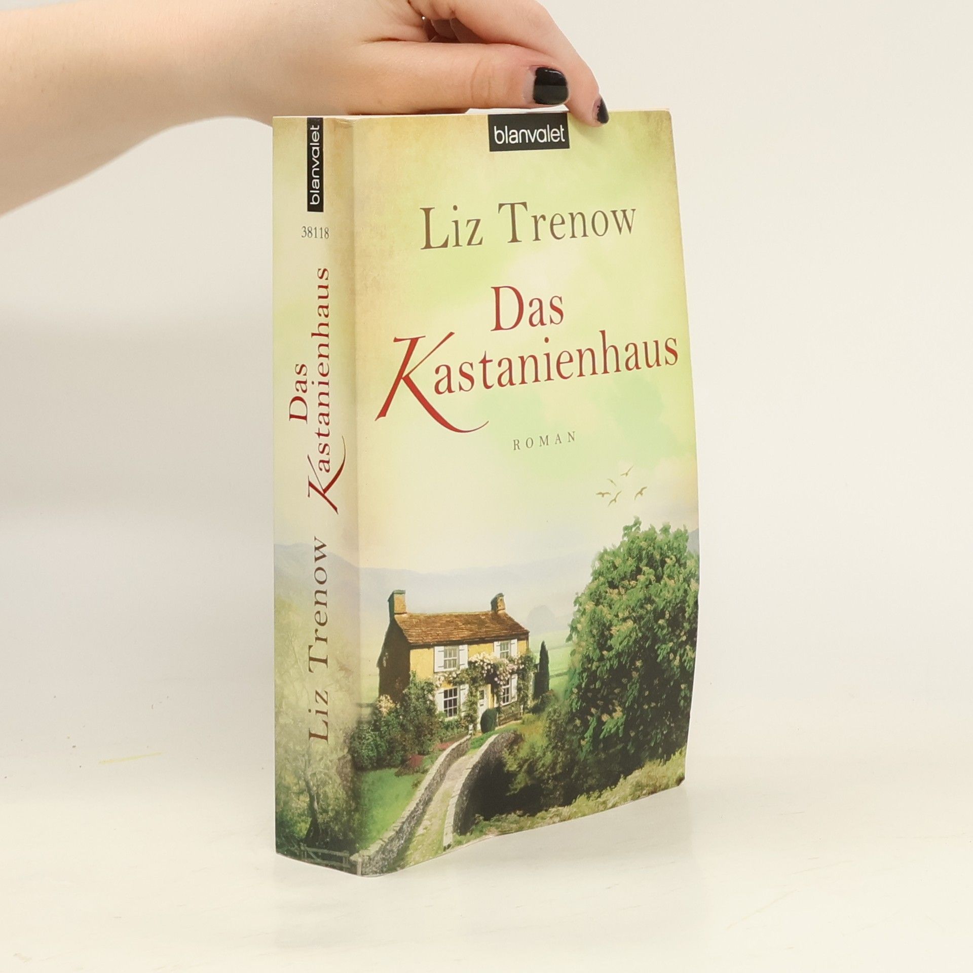 Liz Trenow Das Kastanienhaus