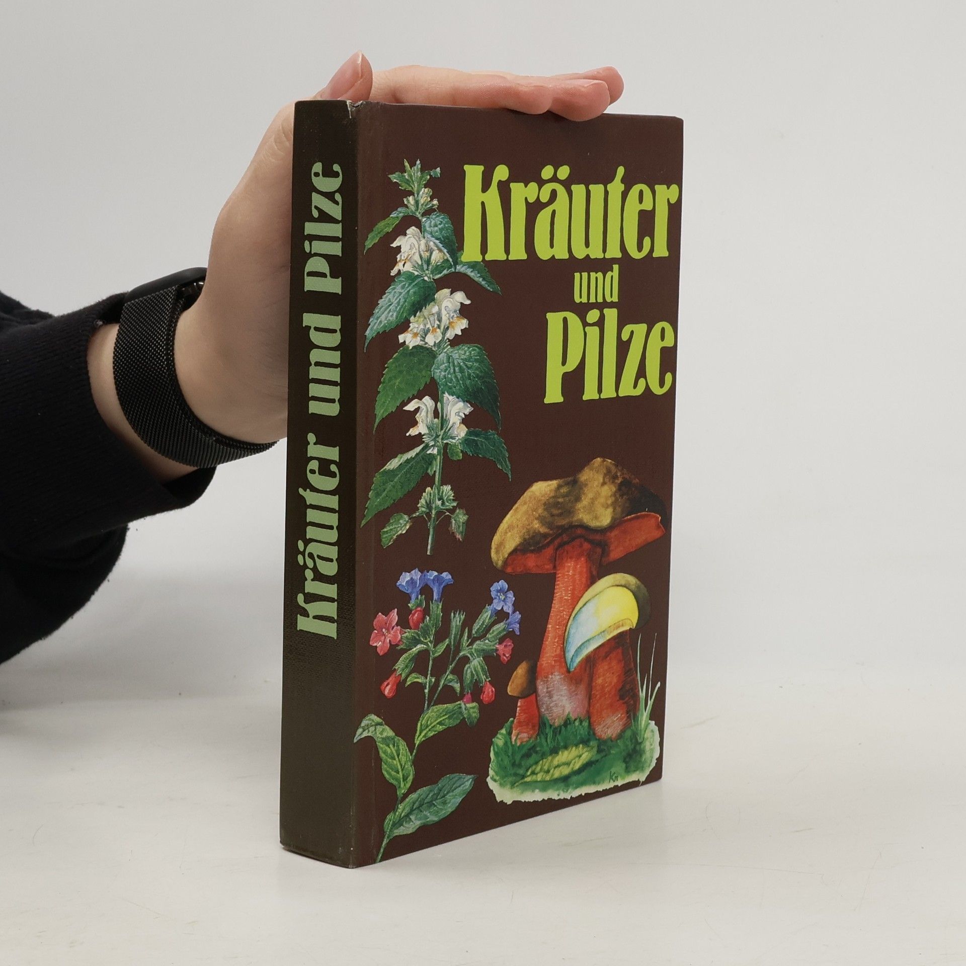 Autorenkollektiv Kräuter und Pilze