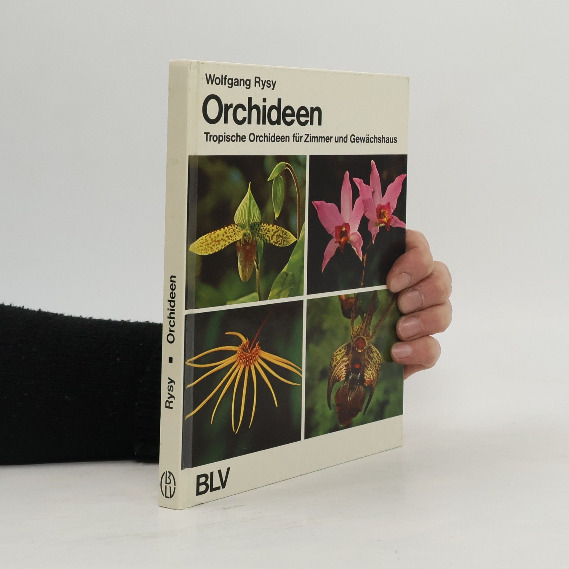 Orchideen
