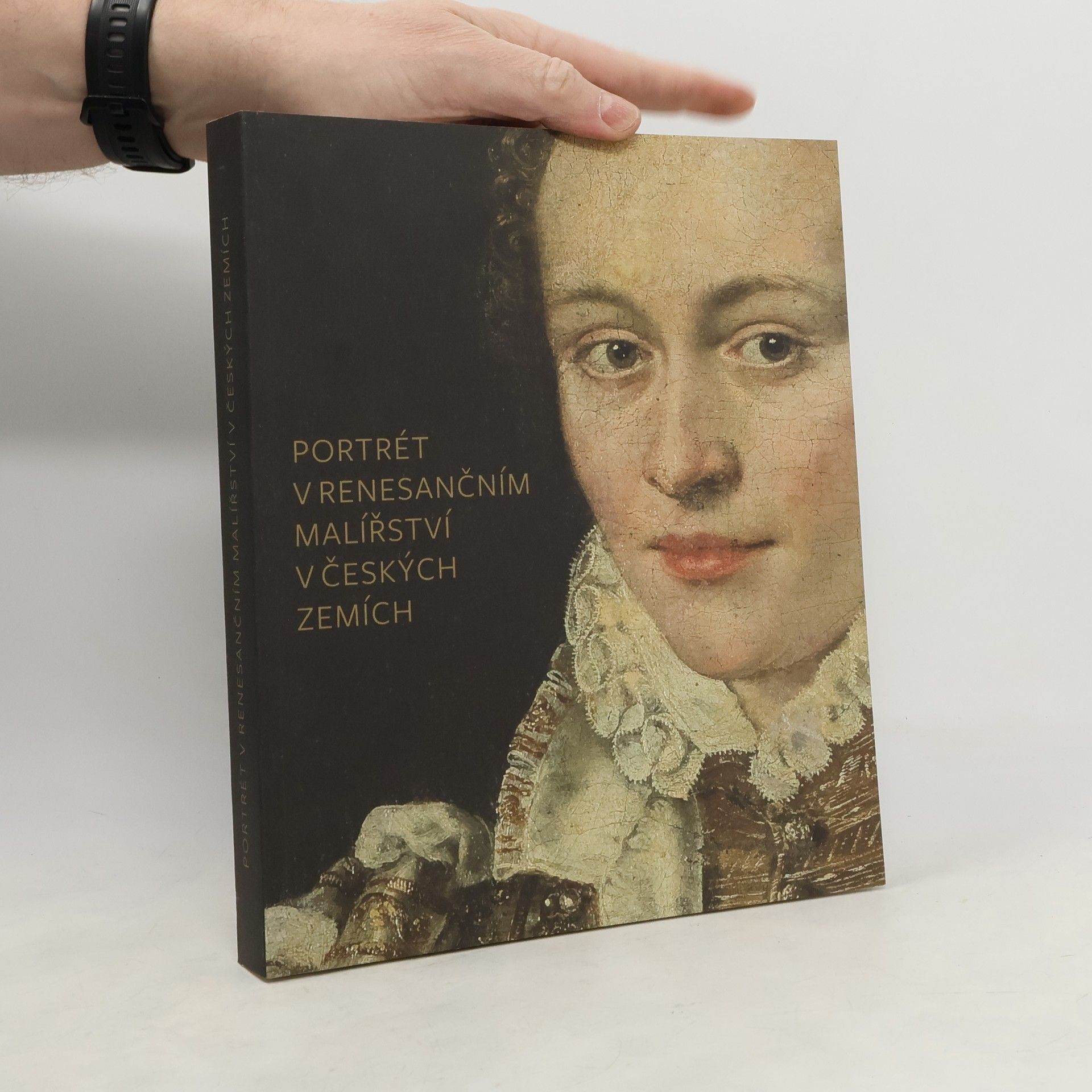 Blanka Kubíková Portrét v renesančním malířství v českých zemích