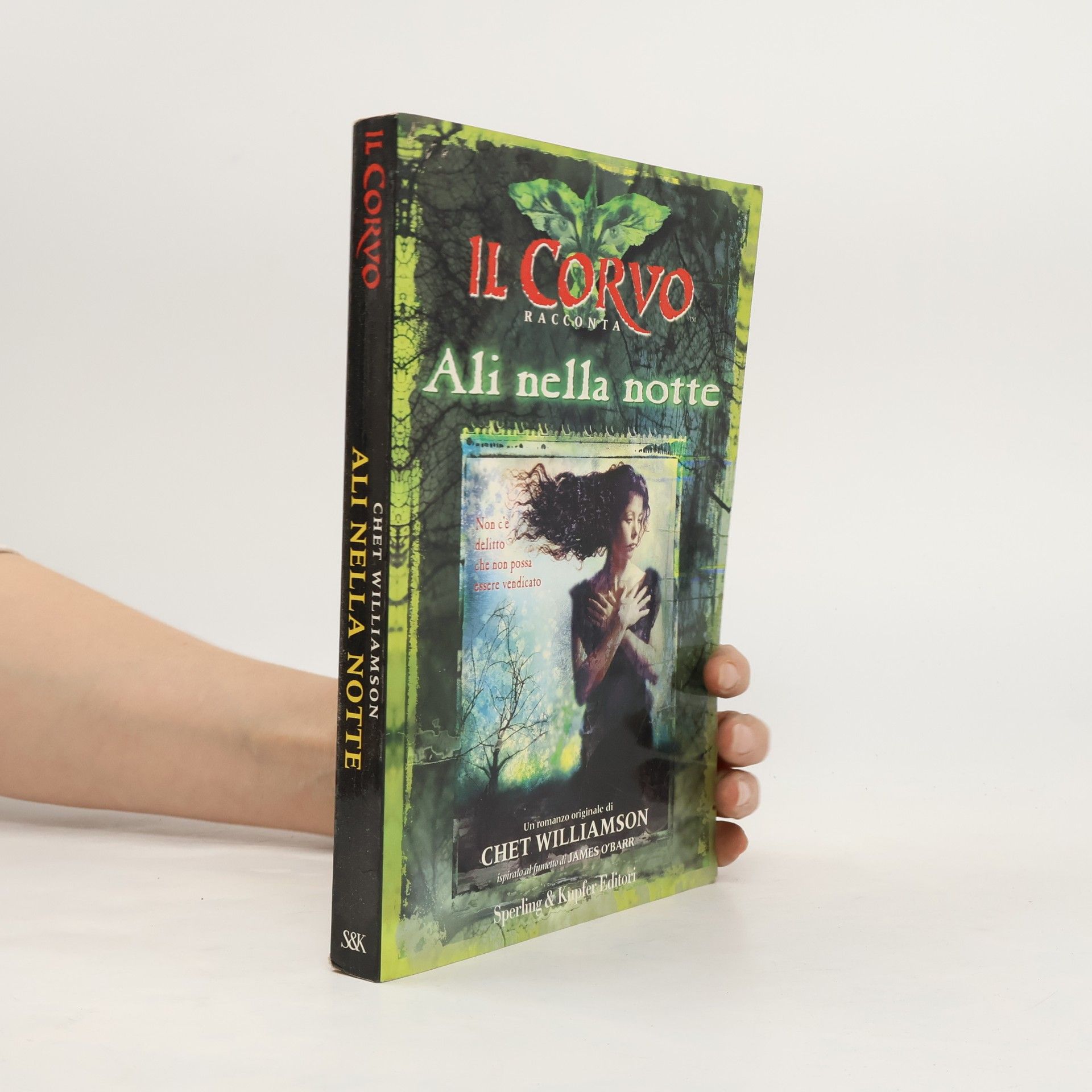 Il corvo racconta: Ali nella notte