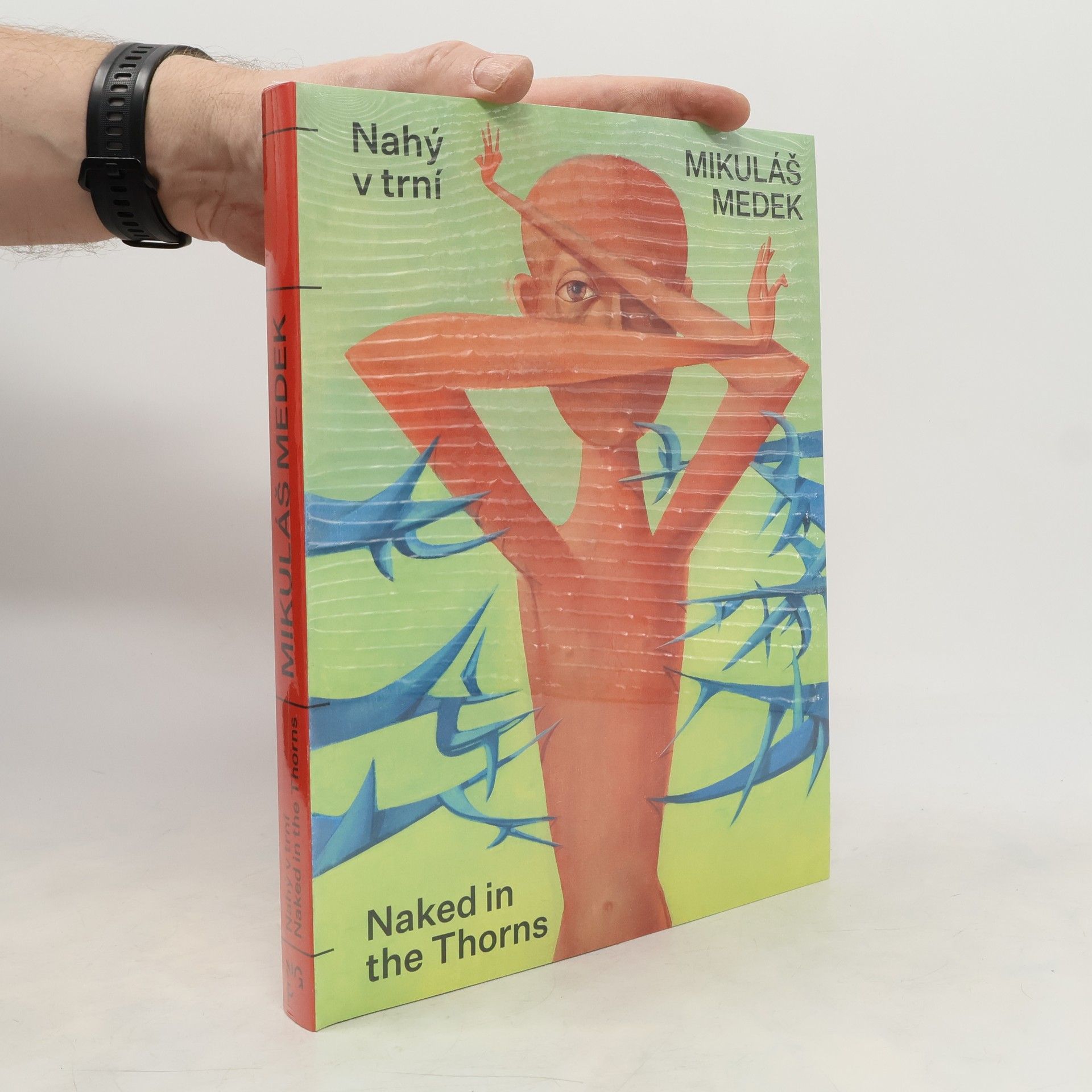 Various authors Mikuláš Medek: Nahý v trní