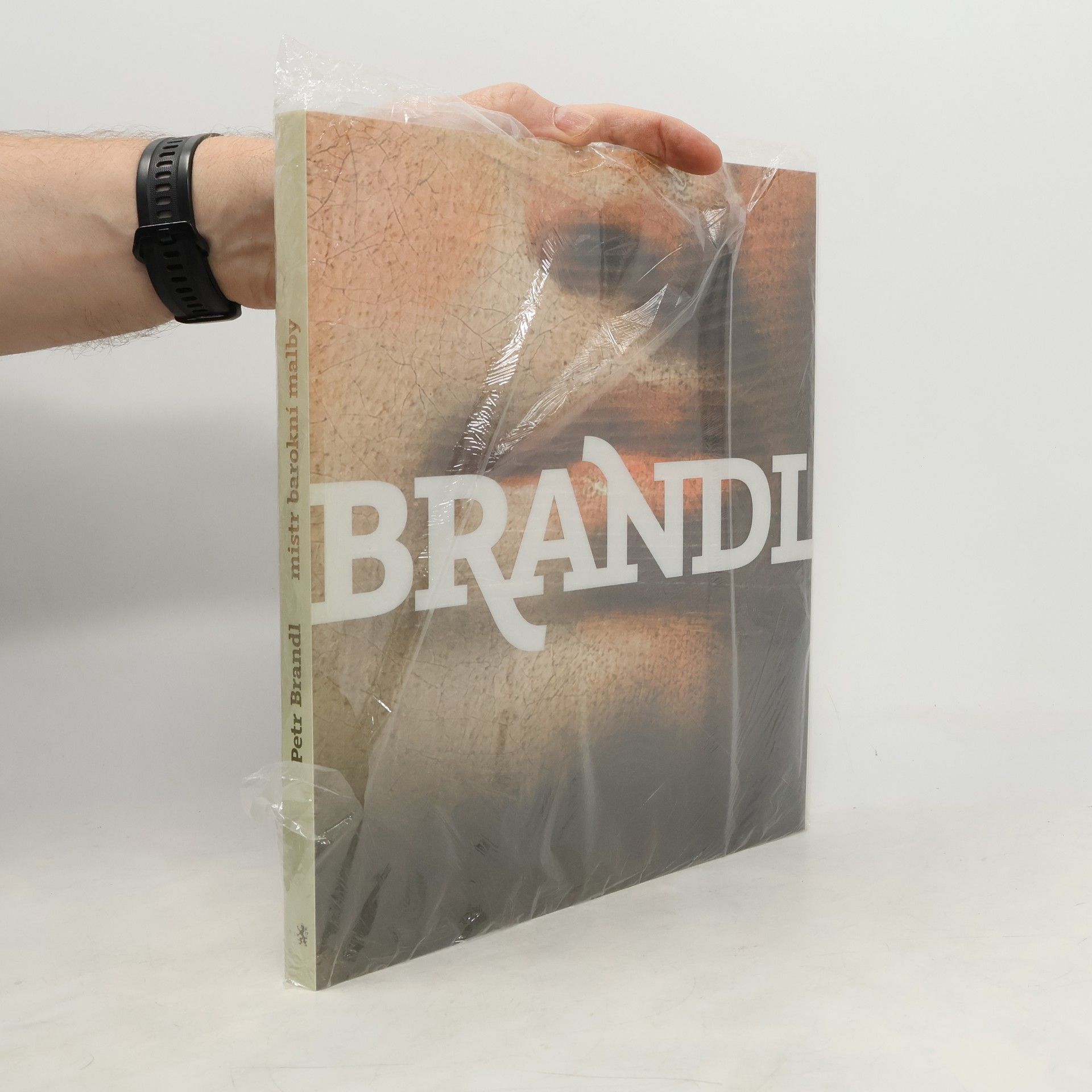 Petr Brandl. Mistr barokní malby