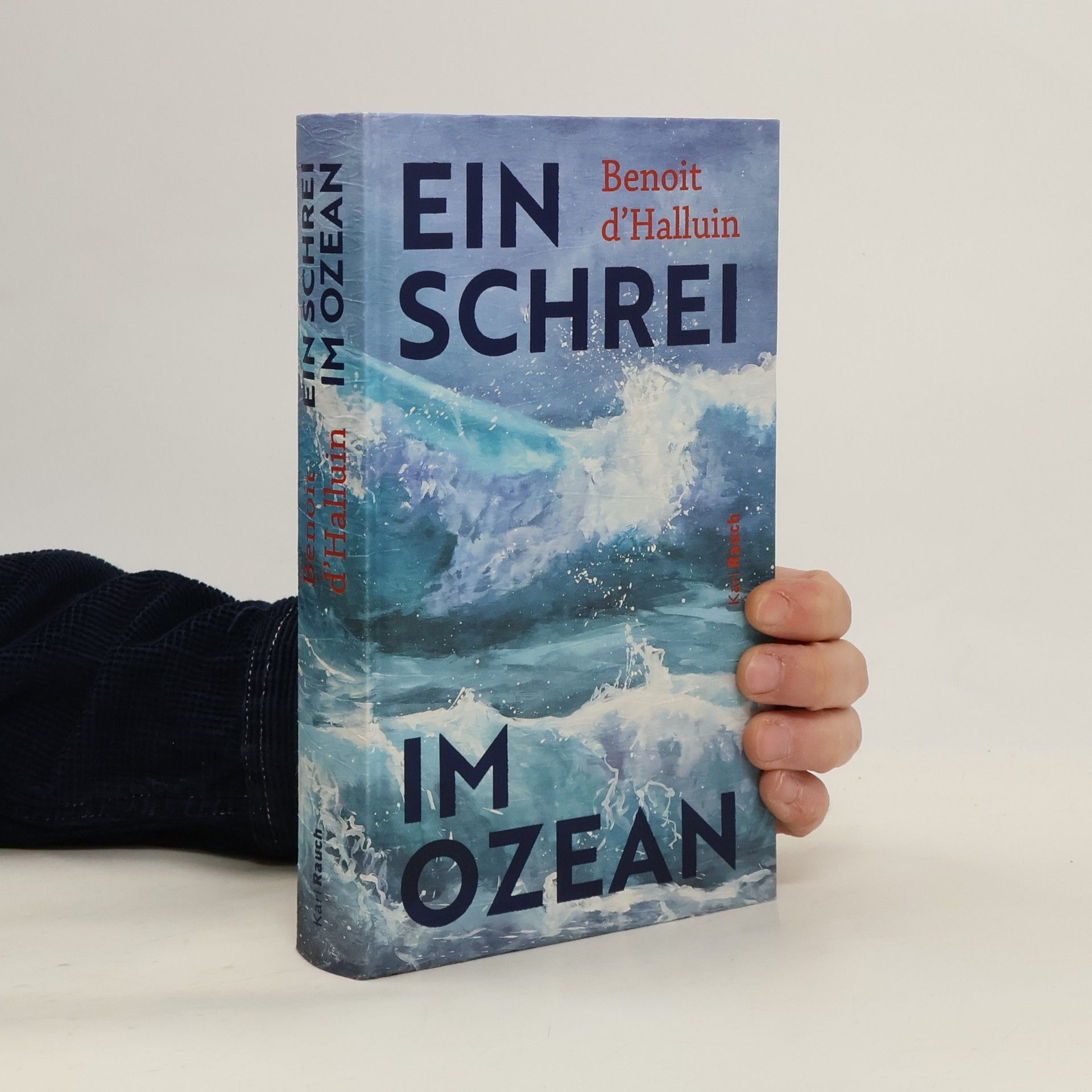 Benoit d`Halluin Ein Schrei im Ozean