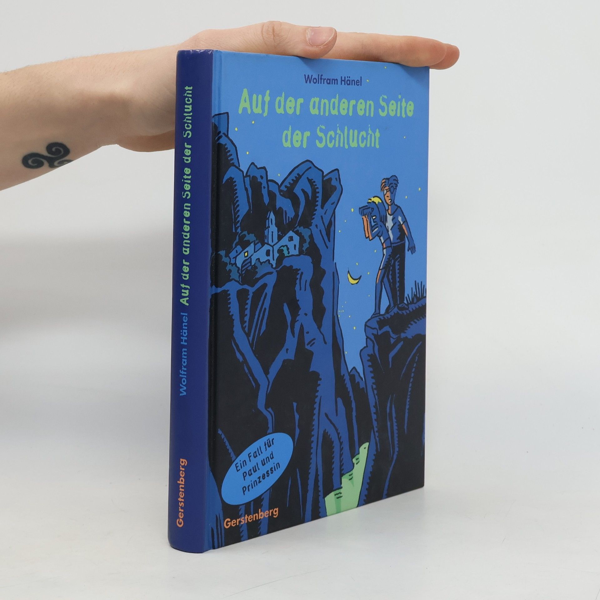 Wolfram Hänel Auf der anderen Seite der Schlucht. Ein Fall für Paul und Prinzessin