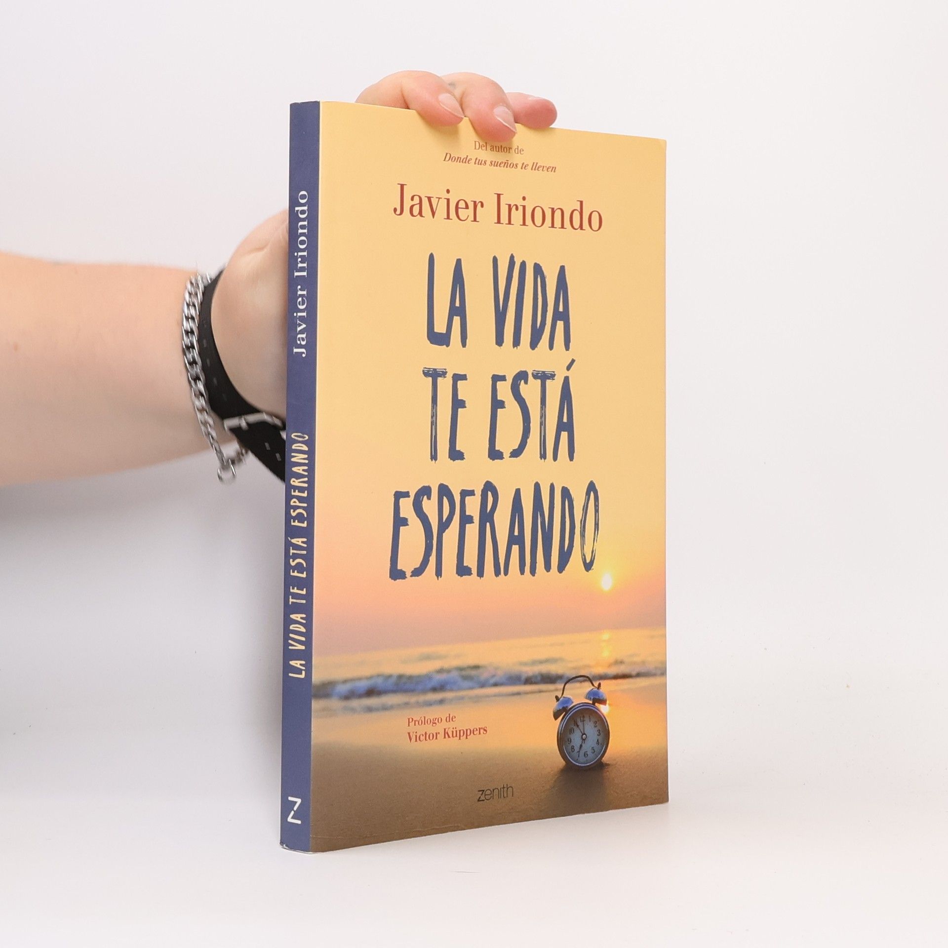 Javier Iriondo Narvaiza La vida te está esperando