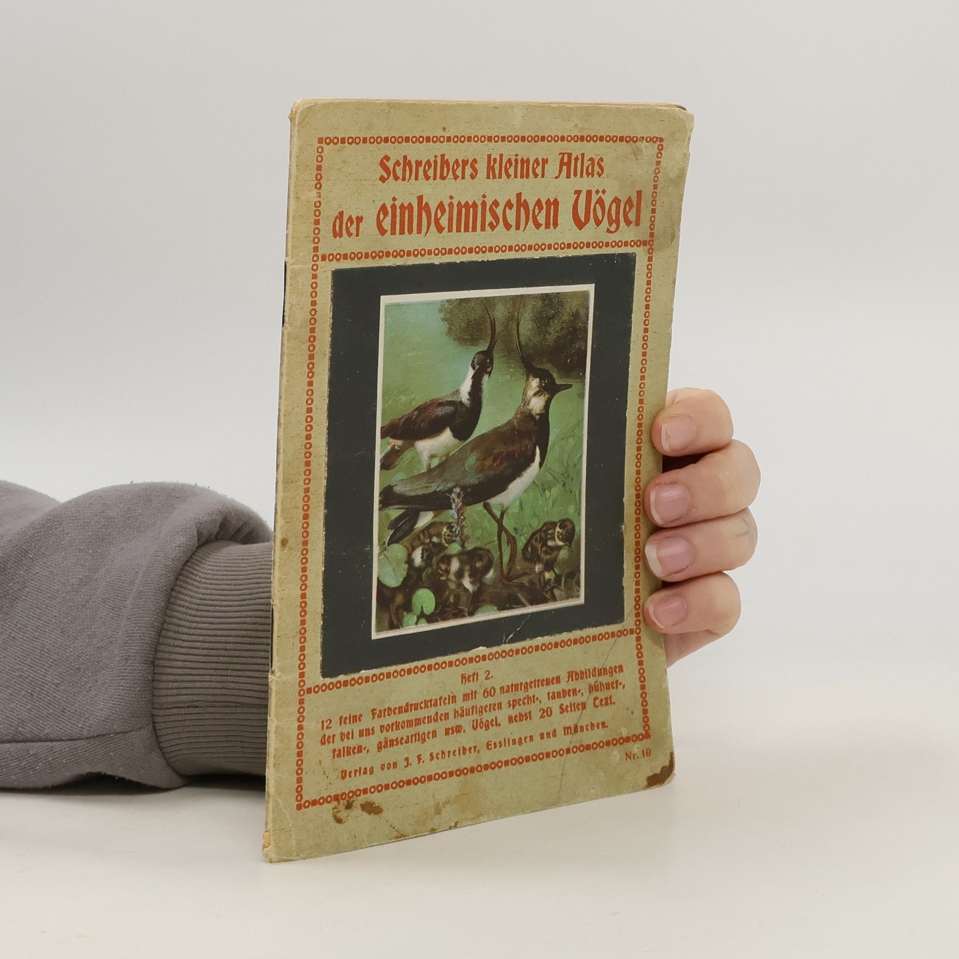 Autorenkollektiv Schreibers kleiner Atlas der einheimischen Vögel 2