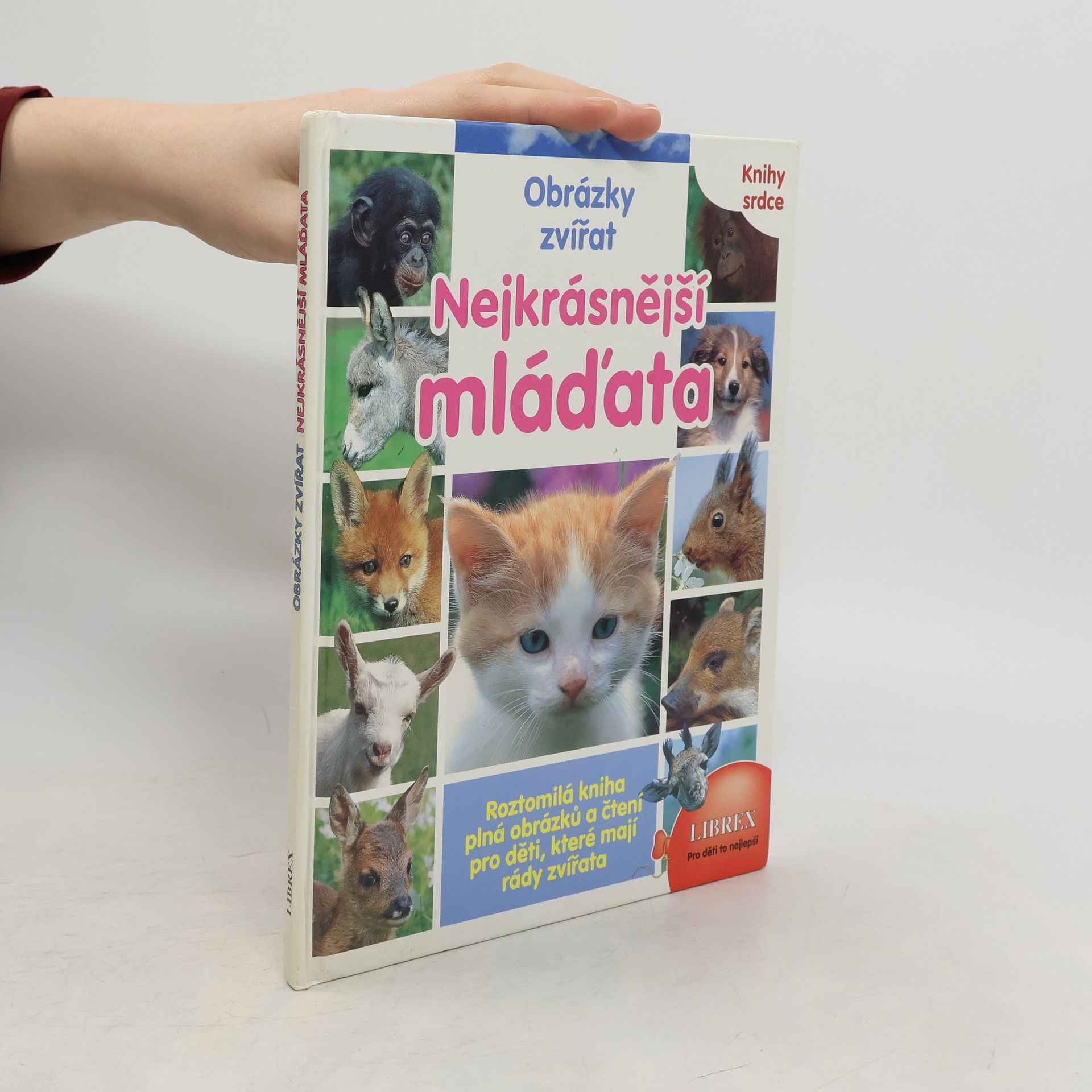 Thierry Montagne Nejkrásnější mláďata. Obrázky zvířat